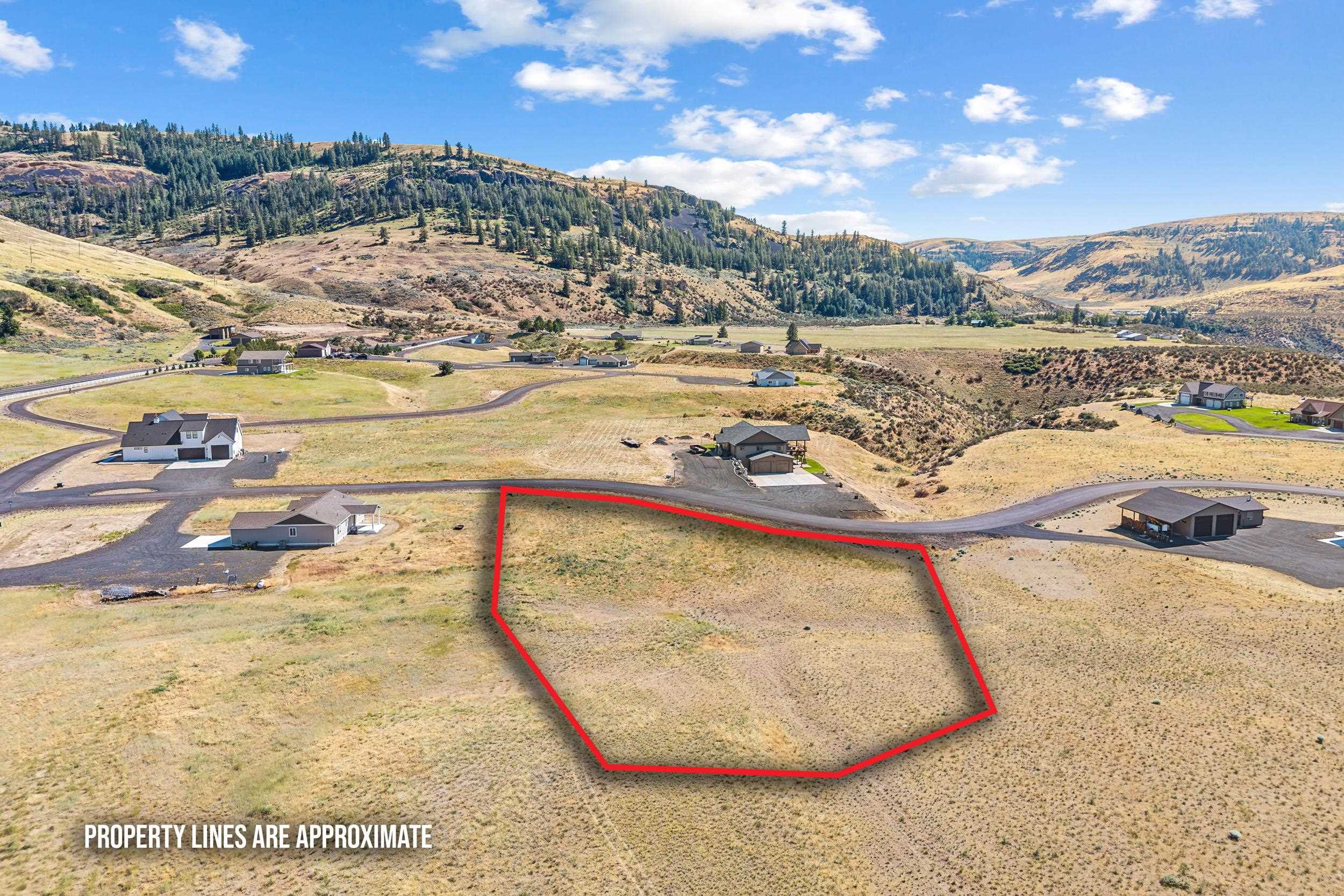 44290 N Sanpoil Rd - Photo 3