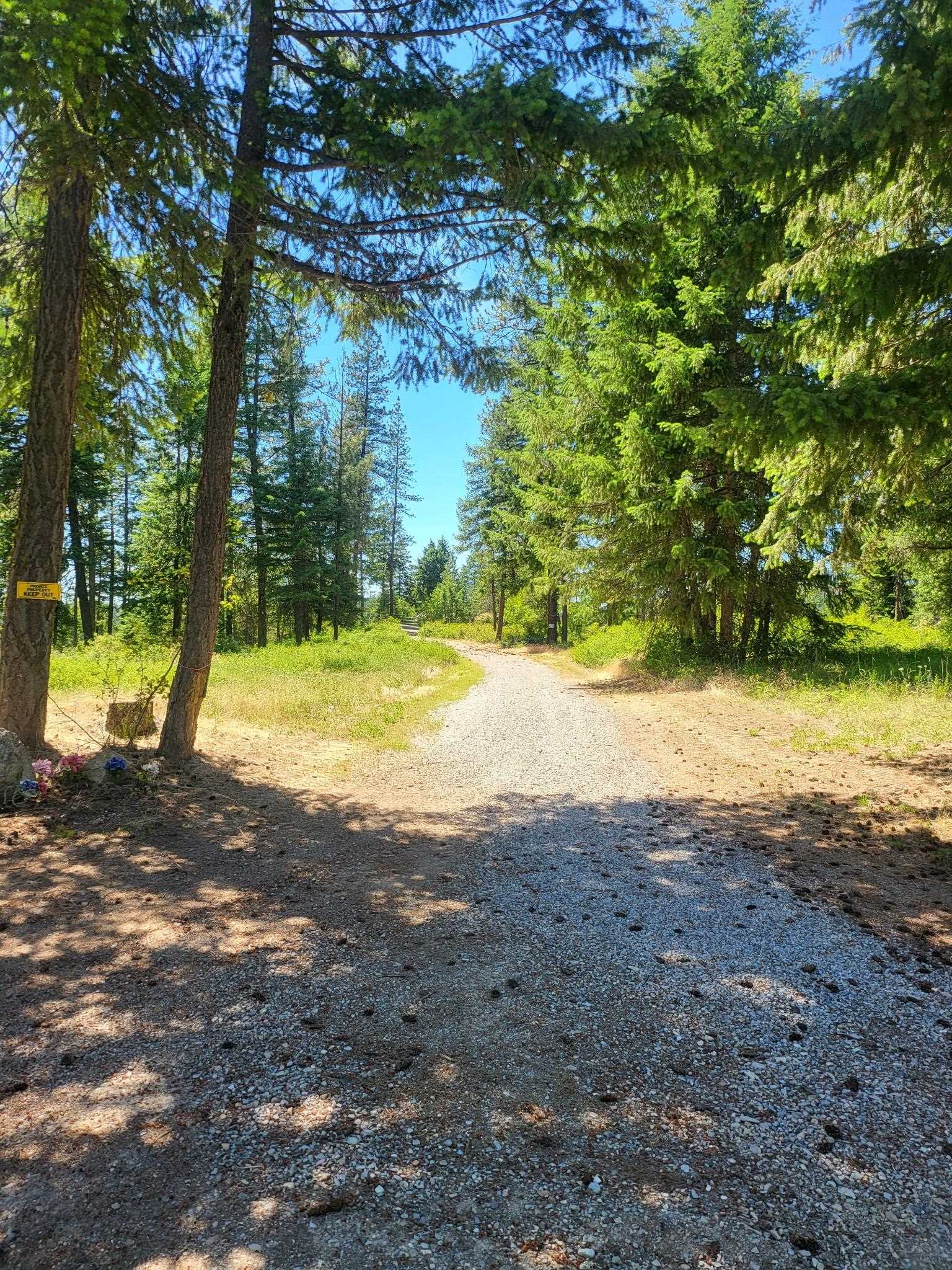 42484 Mt Moriah Way - Photo 13