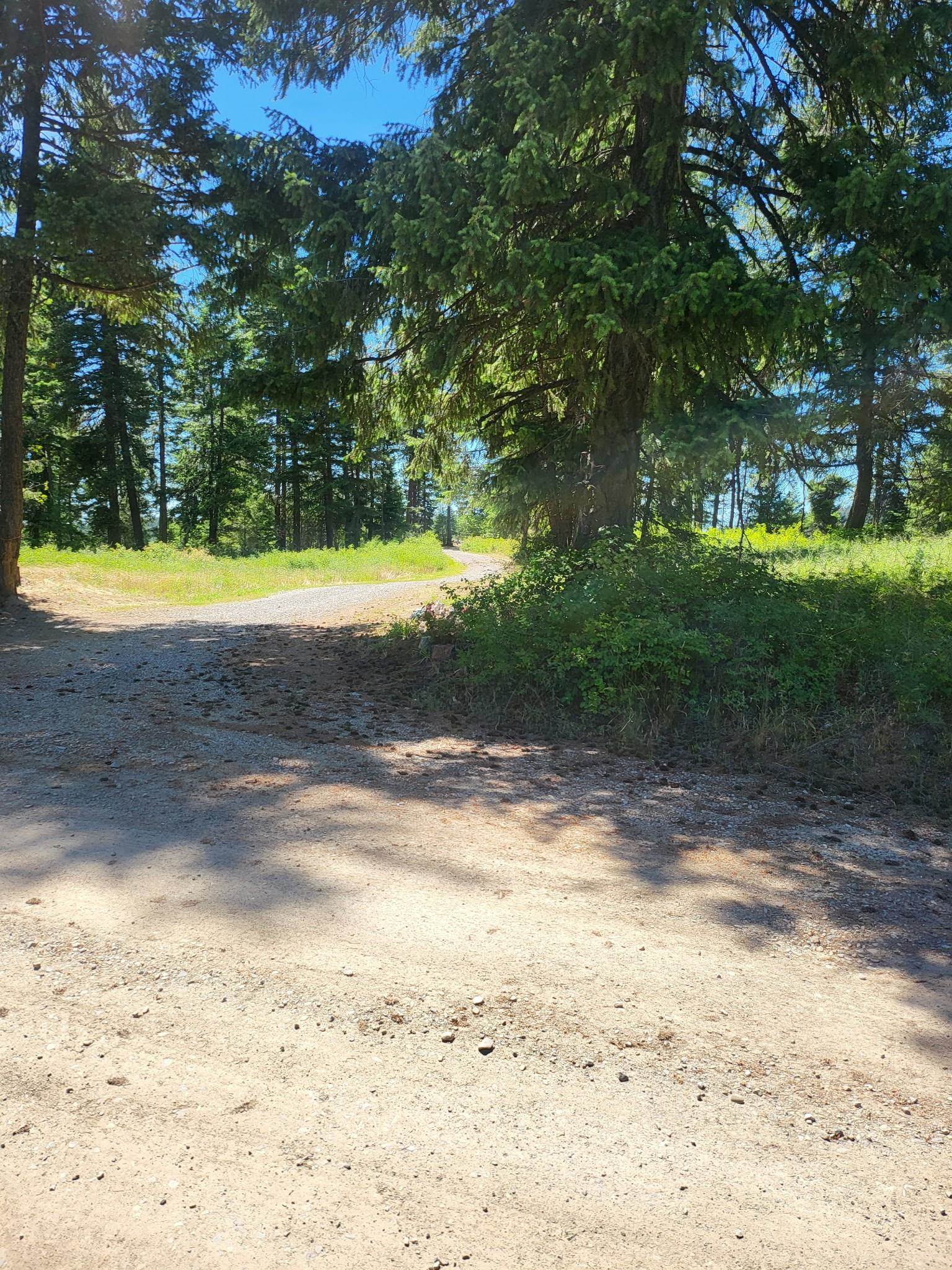 42484 Mt Moriah Way - Photo 11