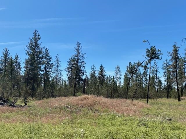 5742 J Corkscrew Canyon Rd - Photo 6