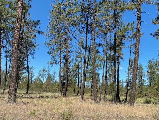 5742 J Corkscrew Canyon Rd - Photo 8