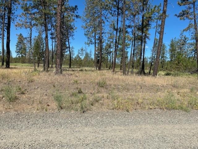 5742 J Corkscrew Canyon Rd - Photo 9