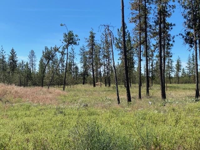 5742 J Corkscrew Canyon Rd - Photo 10
