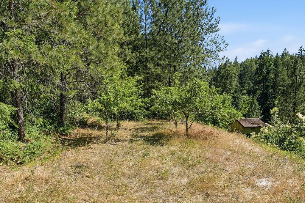 17118 N Dunn Rd - Photo 45