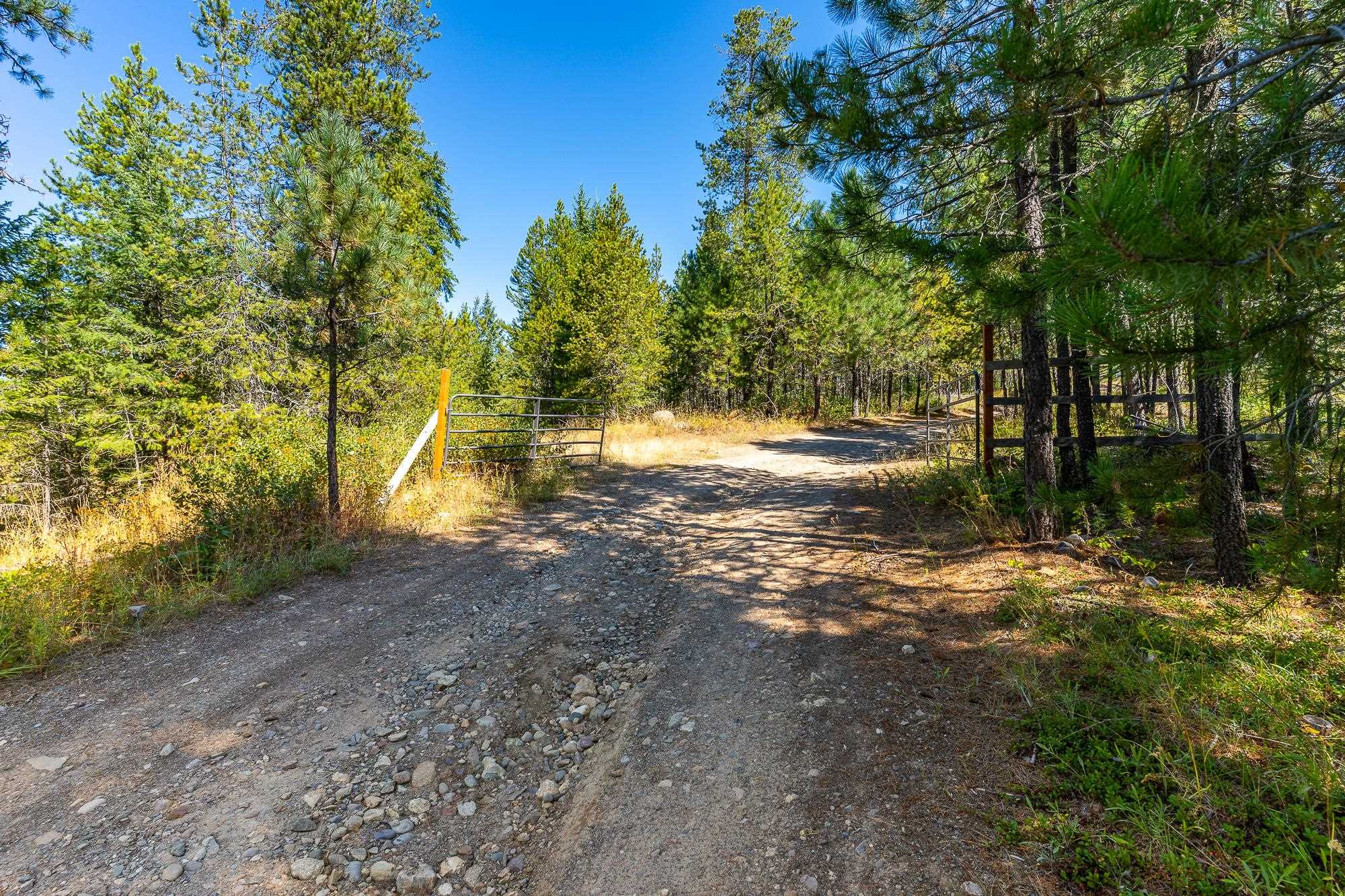 1101 Scotia Rd - Photo 10
