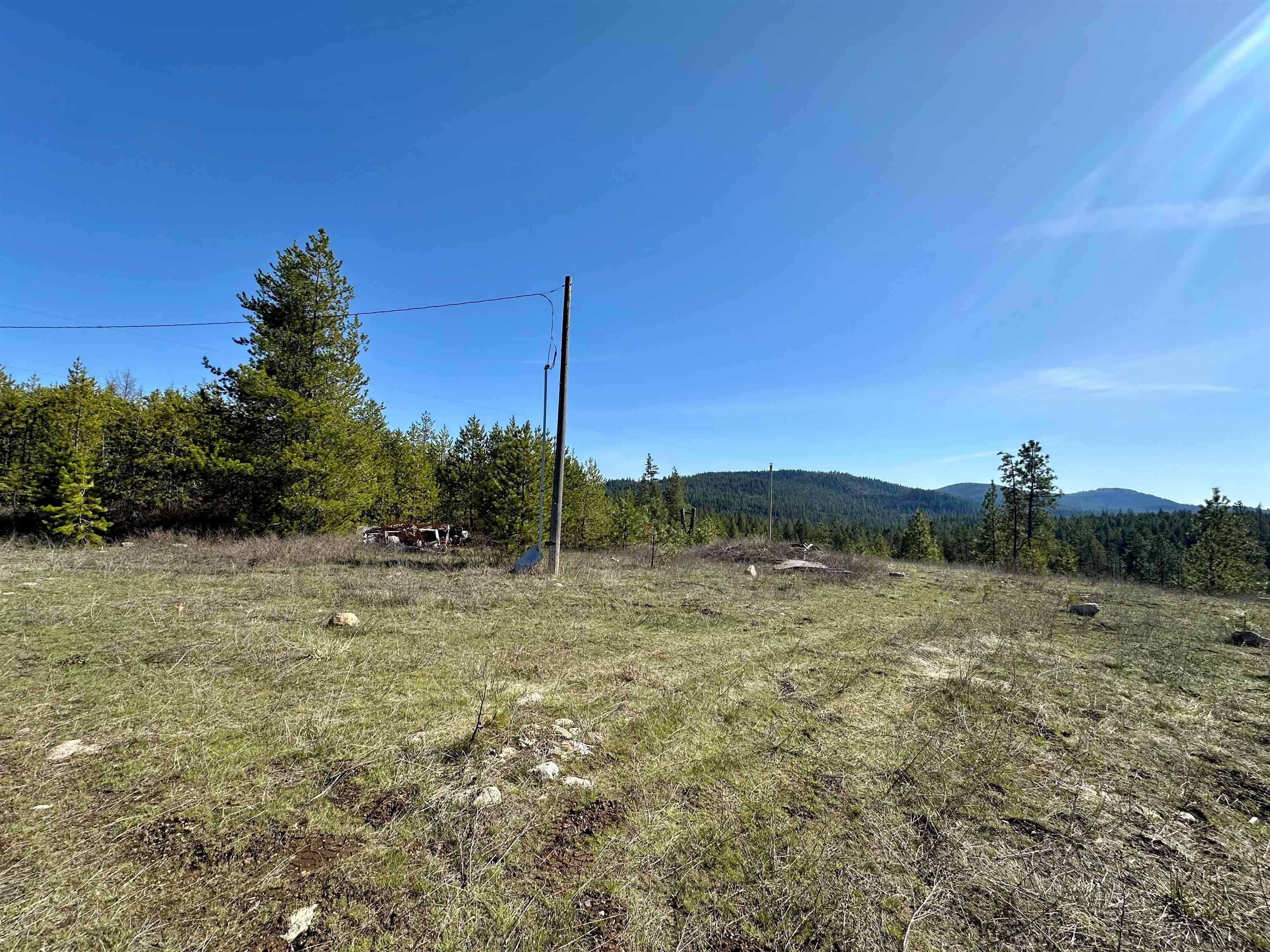 1101 Scotia Rd - Photo 2