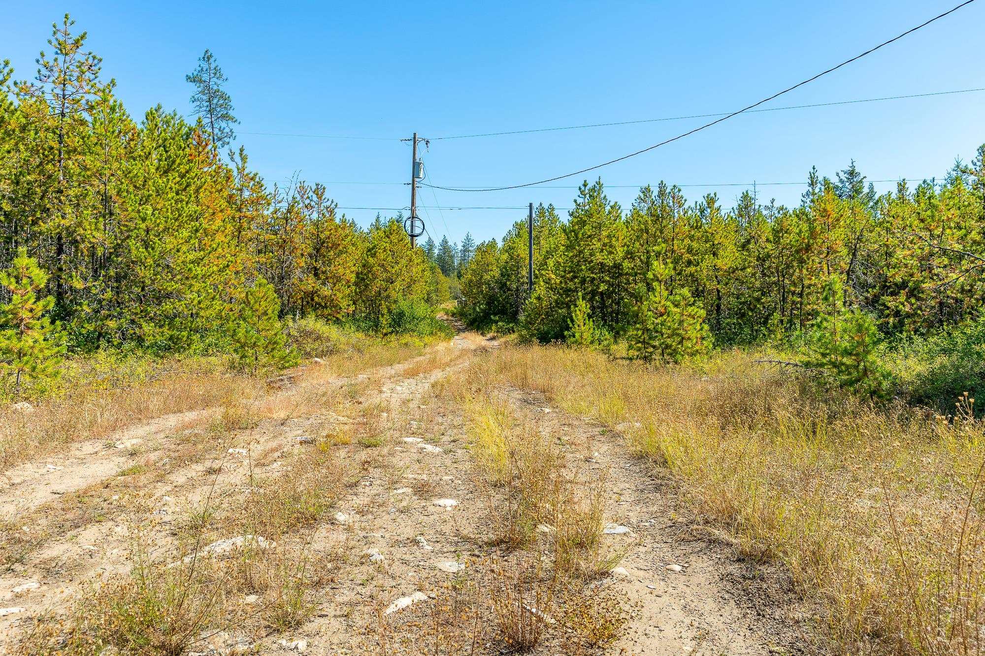 1059 Scotia Rd - Photo 9