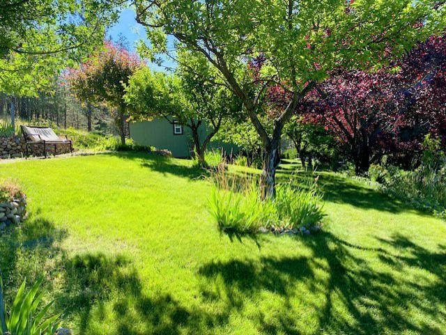 6494 Myrtle Dr - Photo 18