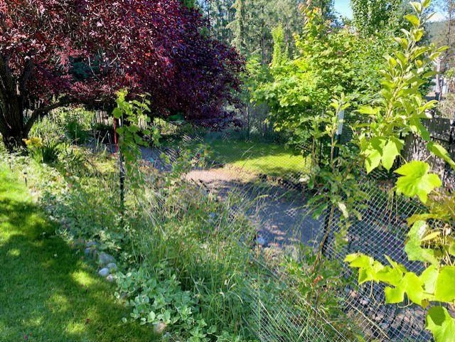 6494 Myrtle Dr - Photo 20