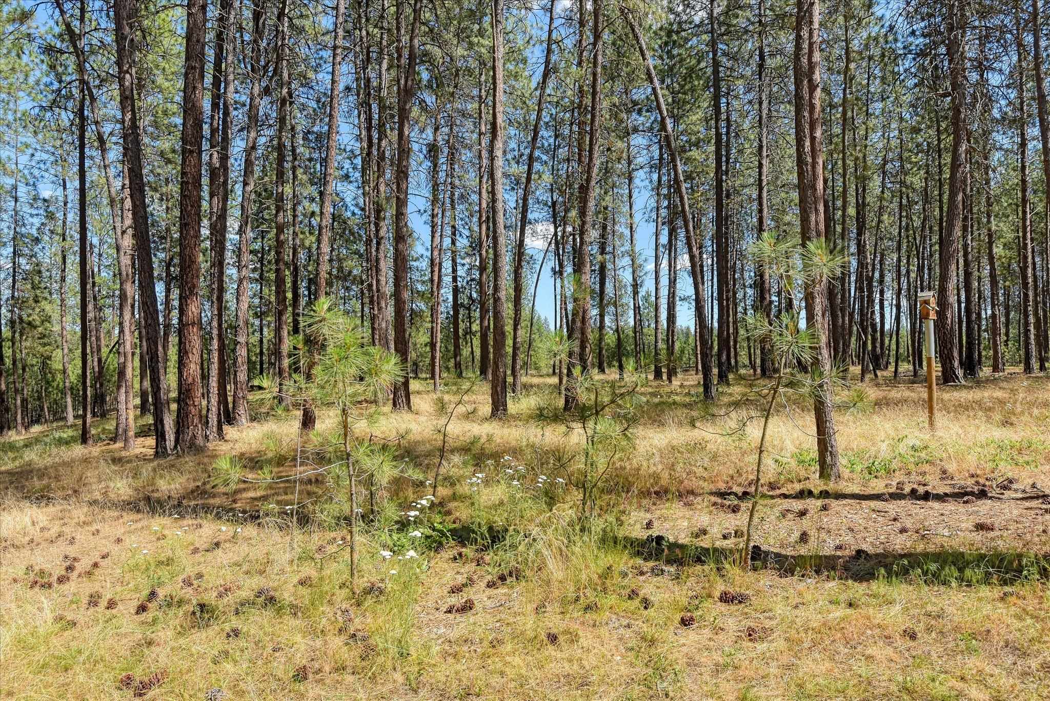 17016 N Saddle Hill Rd - Photo 47