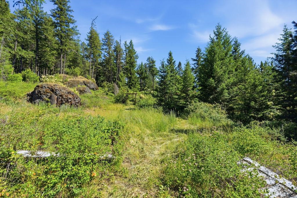17118 N Dunn Rd - Photo 46