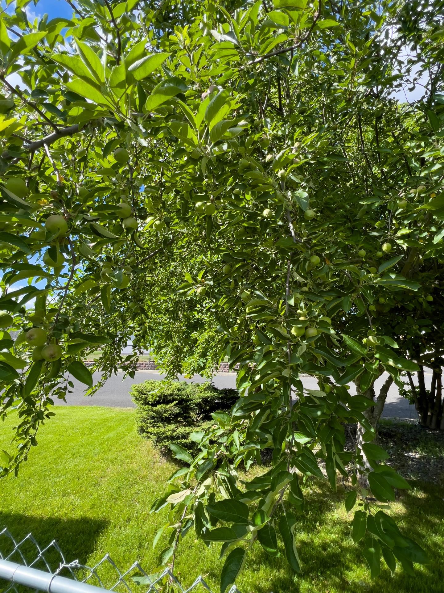 3306 E 4th Ct - Photo 27