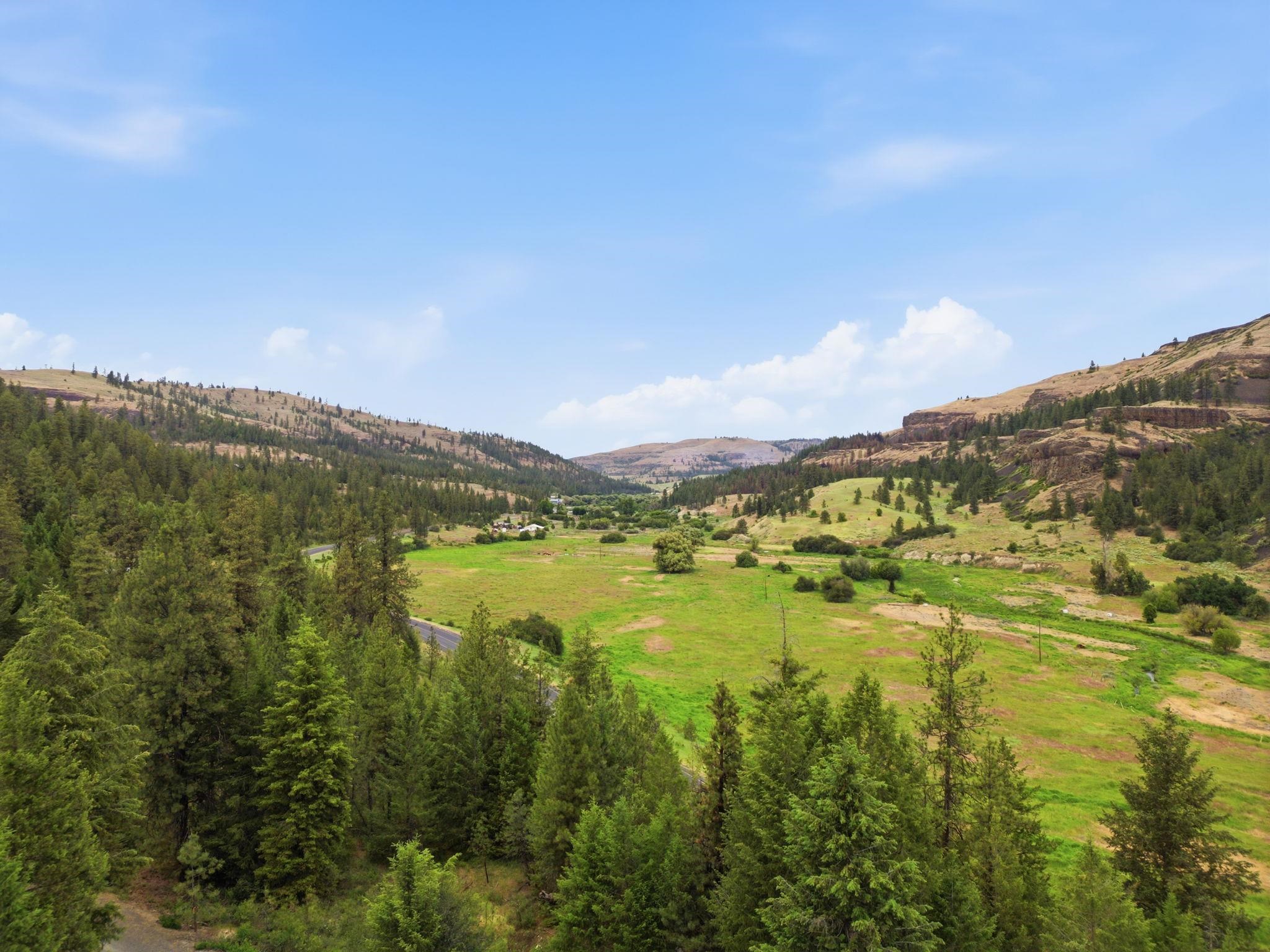 34951 Sharptail Ln - Photo 41