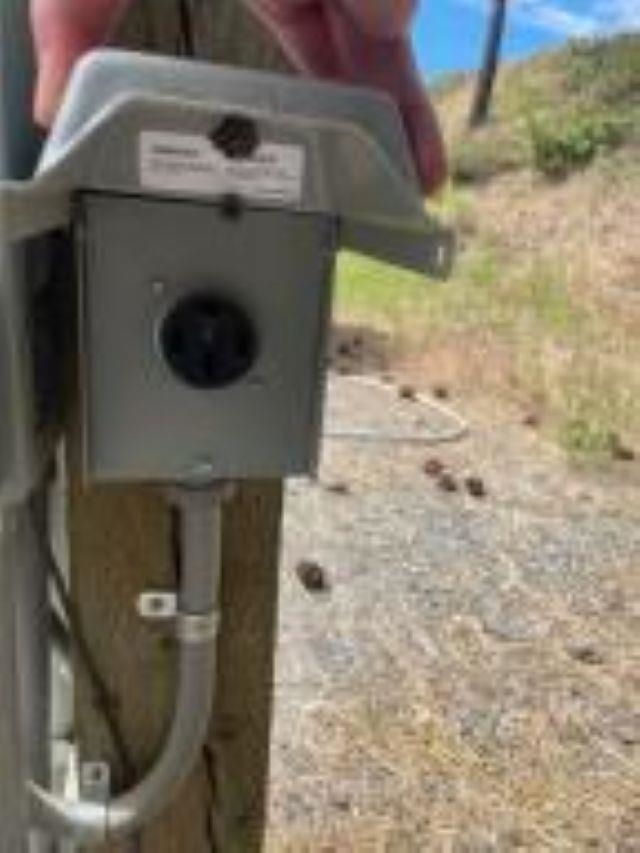 13 LITTLE JOES Rd - Photo 27