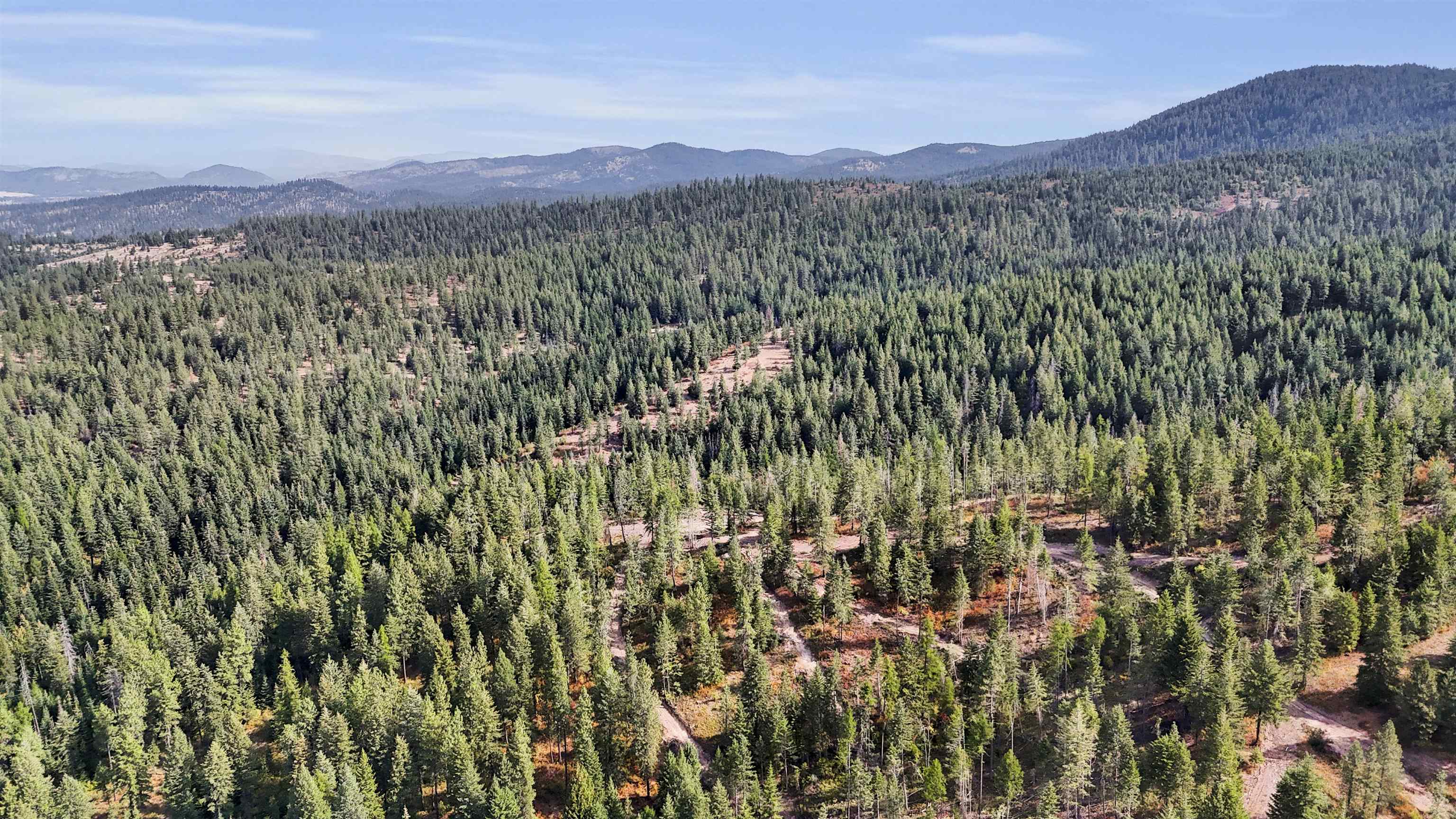 XXX E Deer Creek Rd - Photo 3