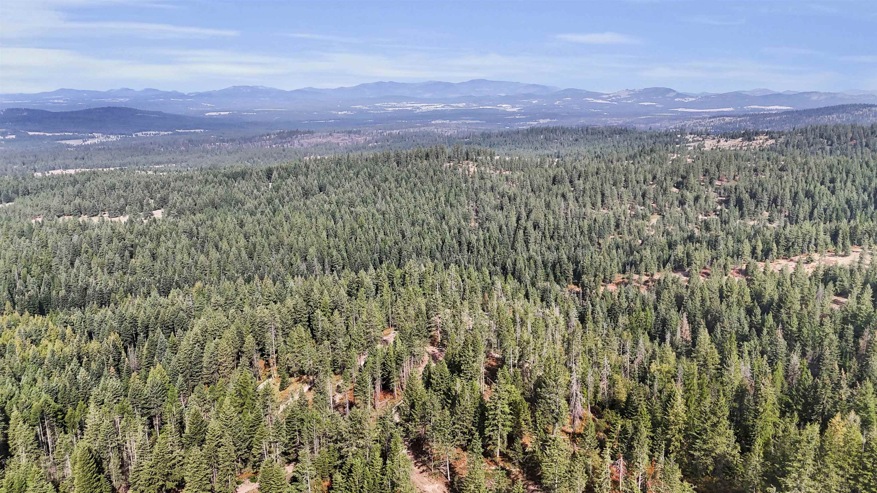 XXX E Deer Creek Rd - Photo 4