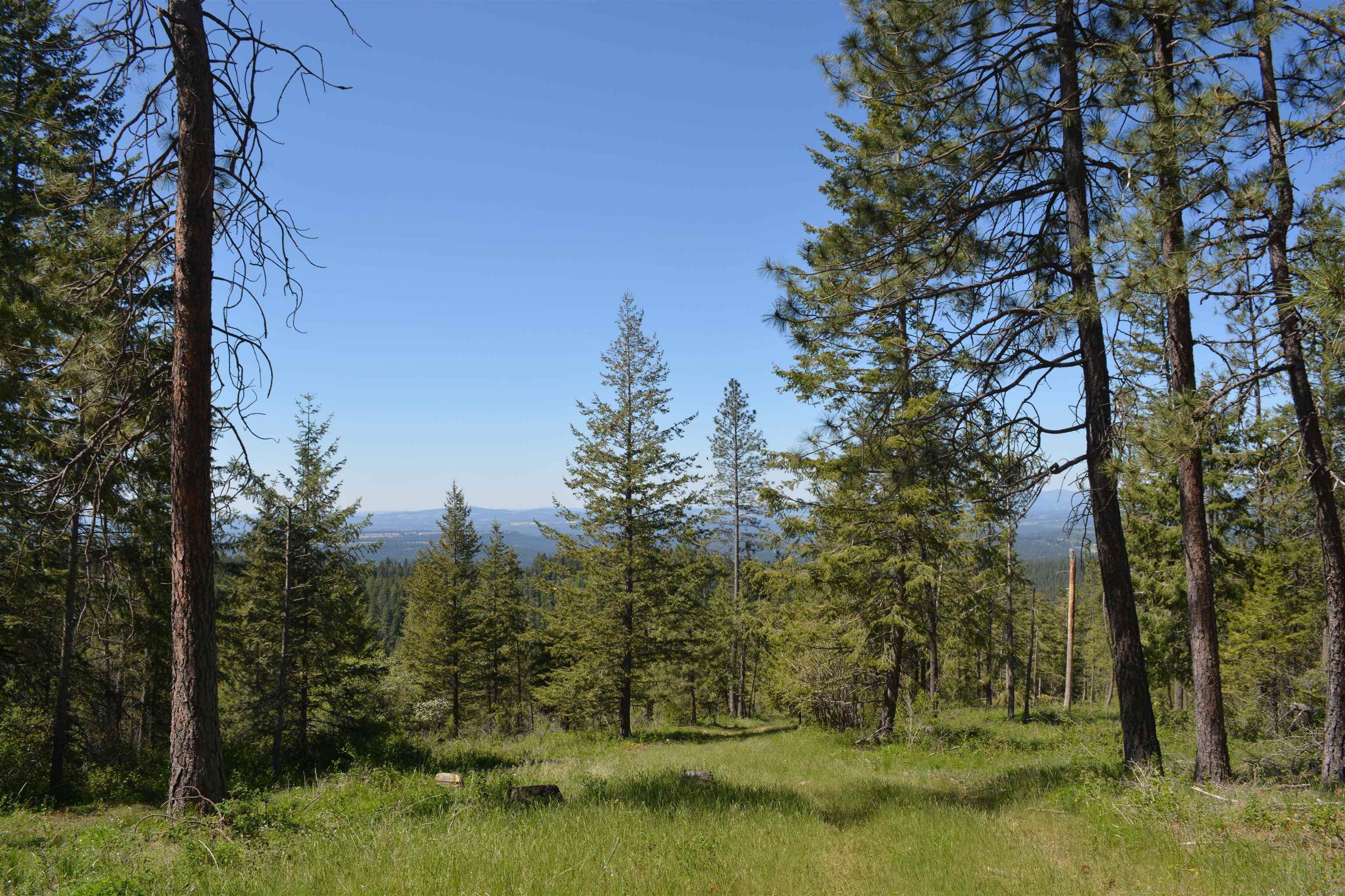 XXX E Deer Creek Rd - Photo 5