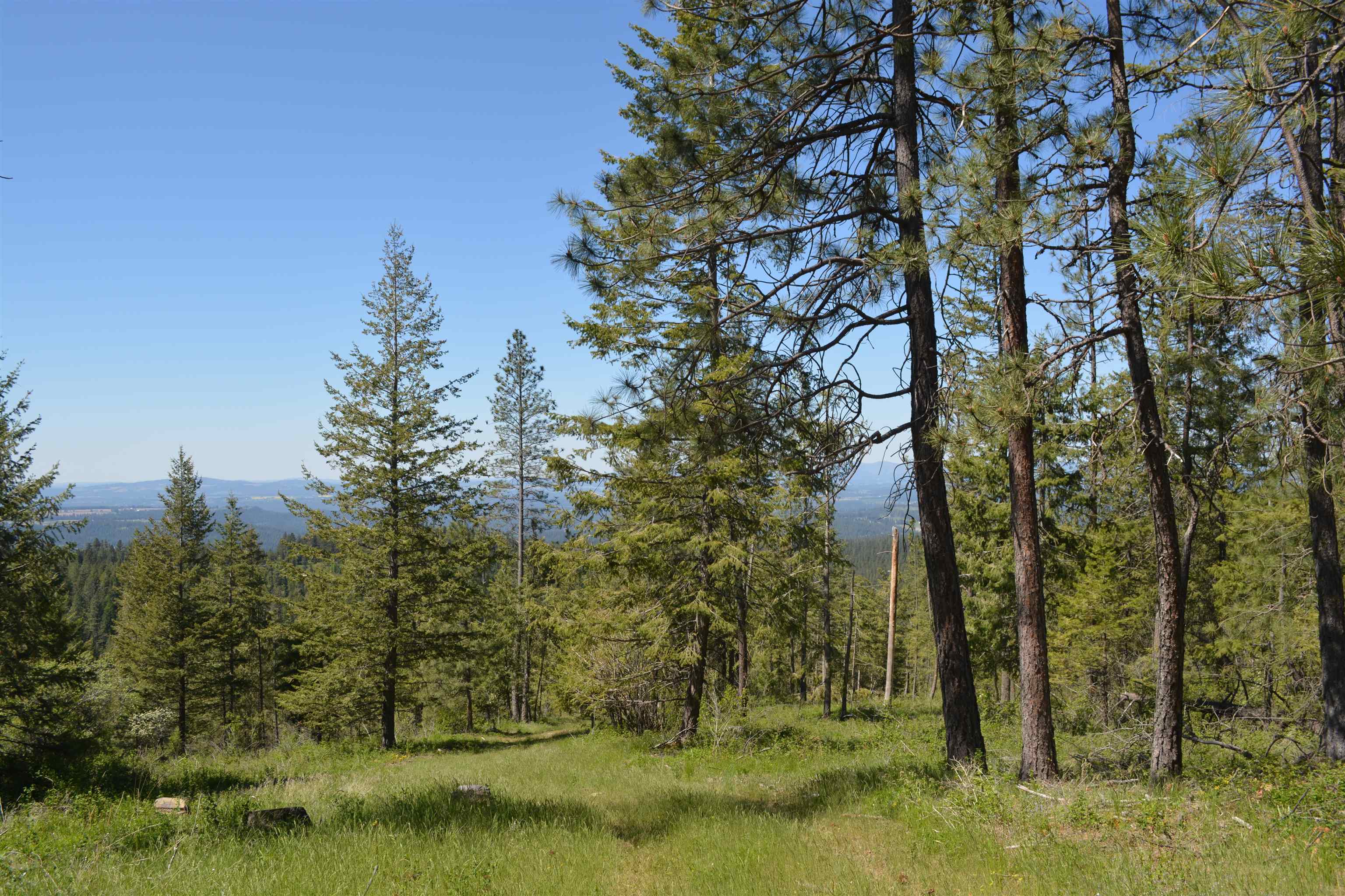 XXX E Deer Creek Rd - Photo 6