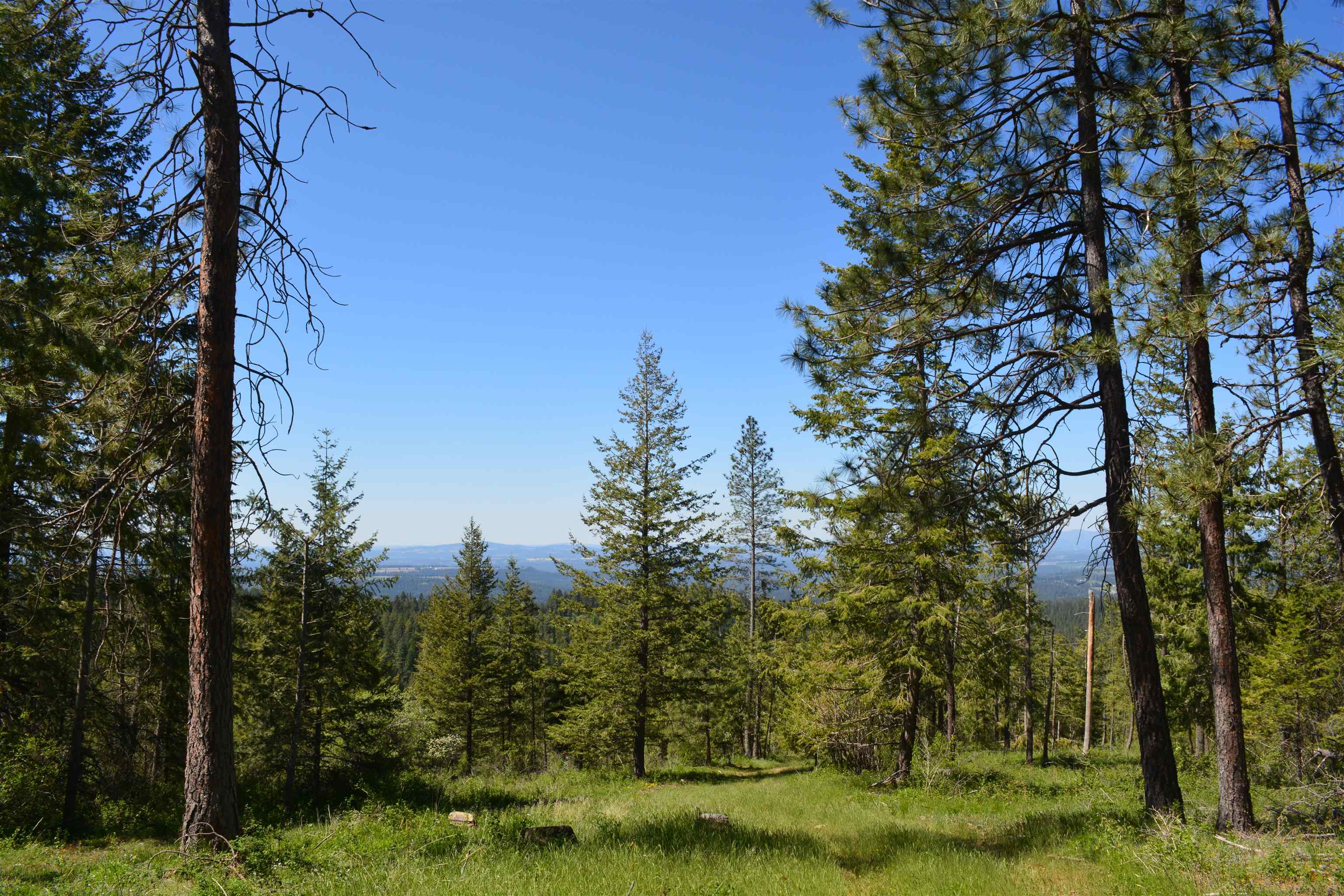XXX E Deer Creek Rd - Photo 7