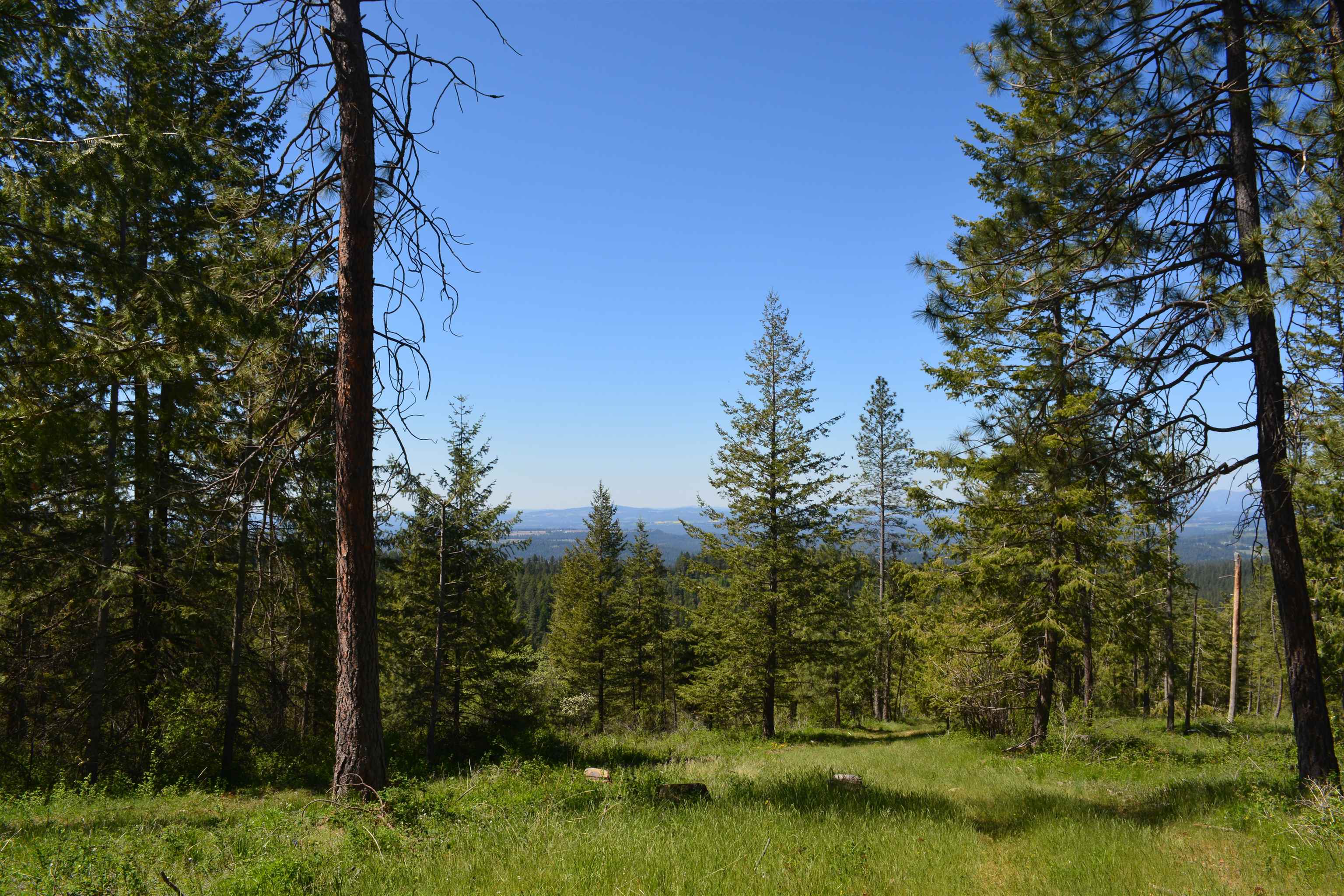 XXX E Deer Creek Rd - Photo 8
