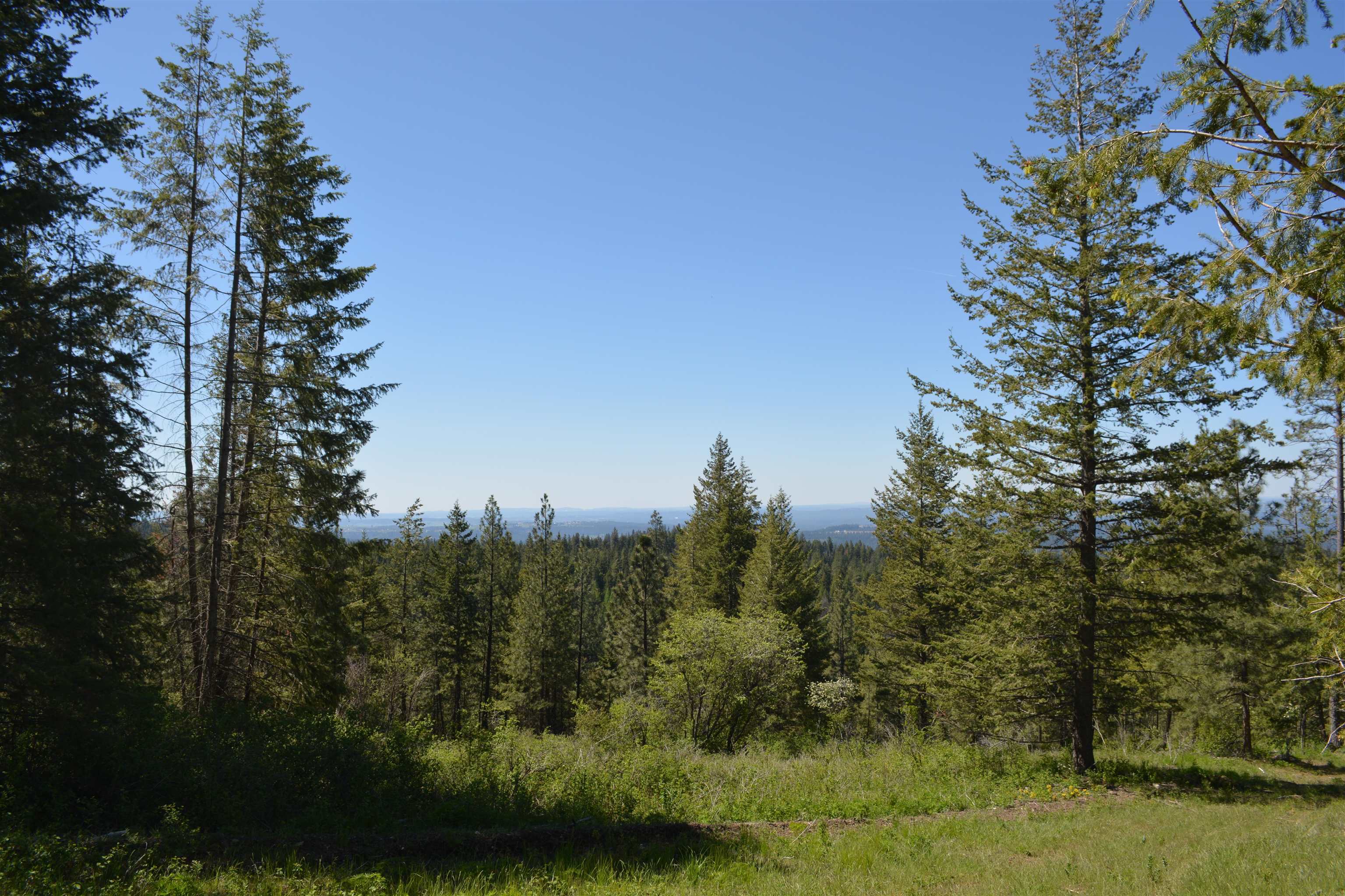 XXX E Deer Creek Rd - Photo 9