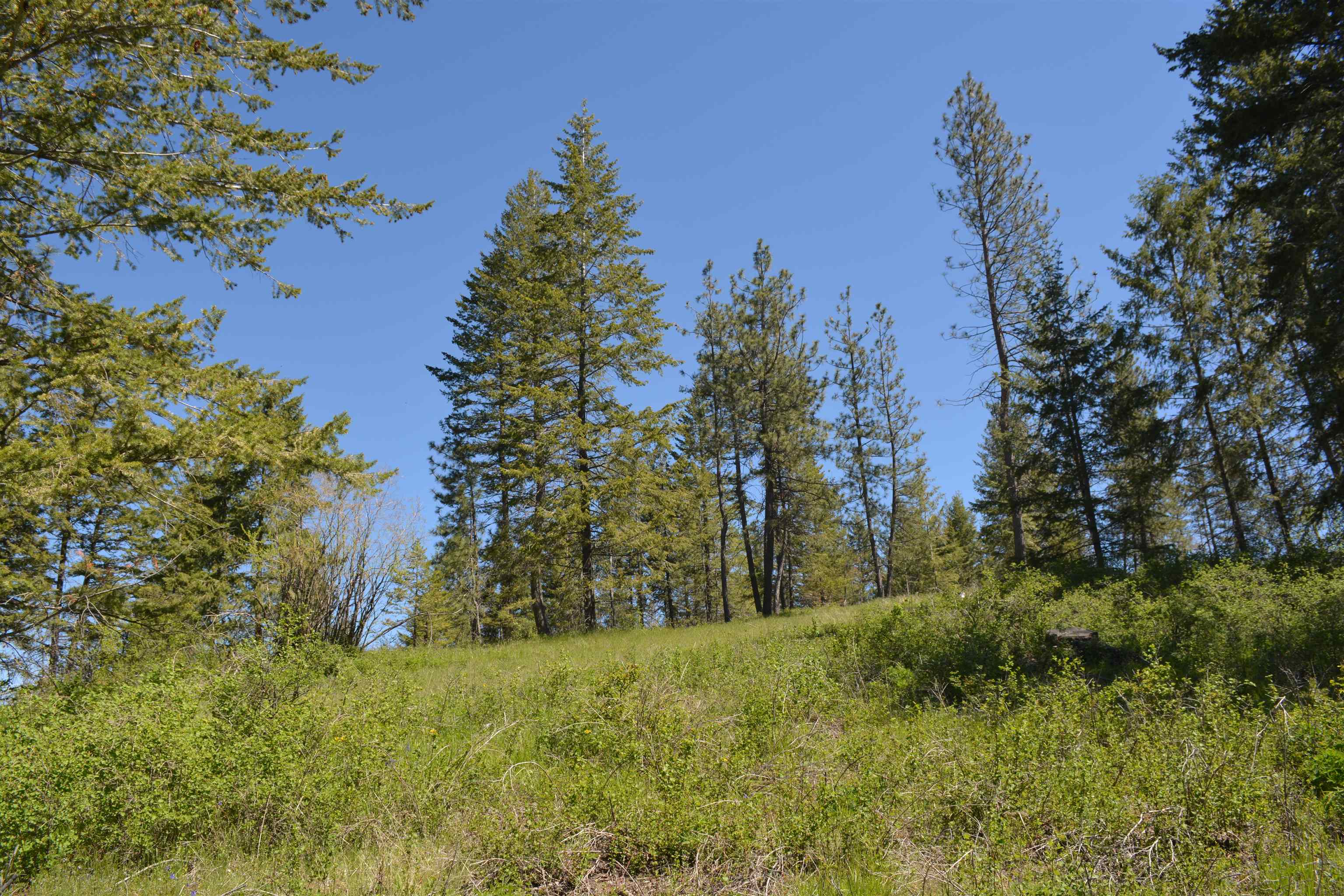 XXX E Deer Creek Rd - Photo 10