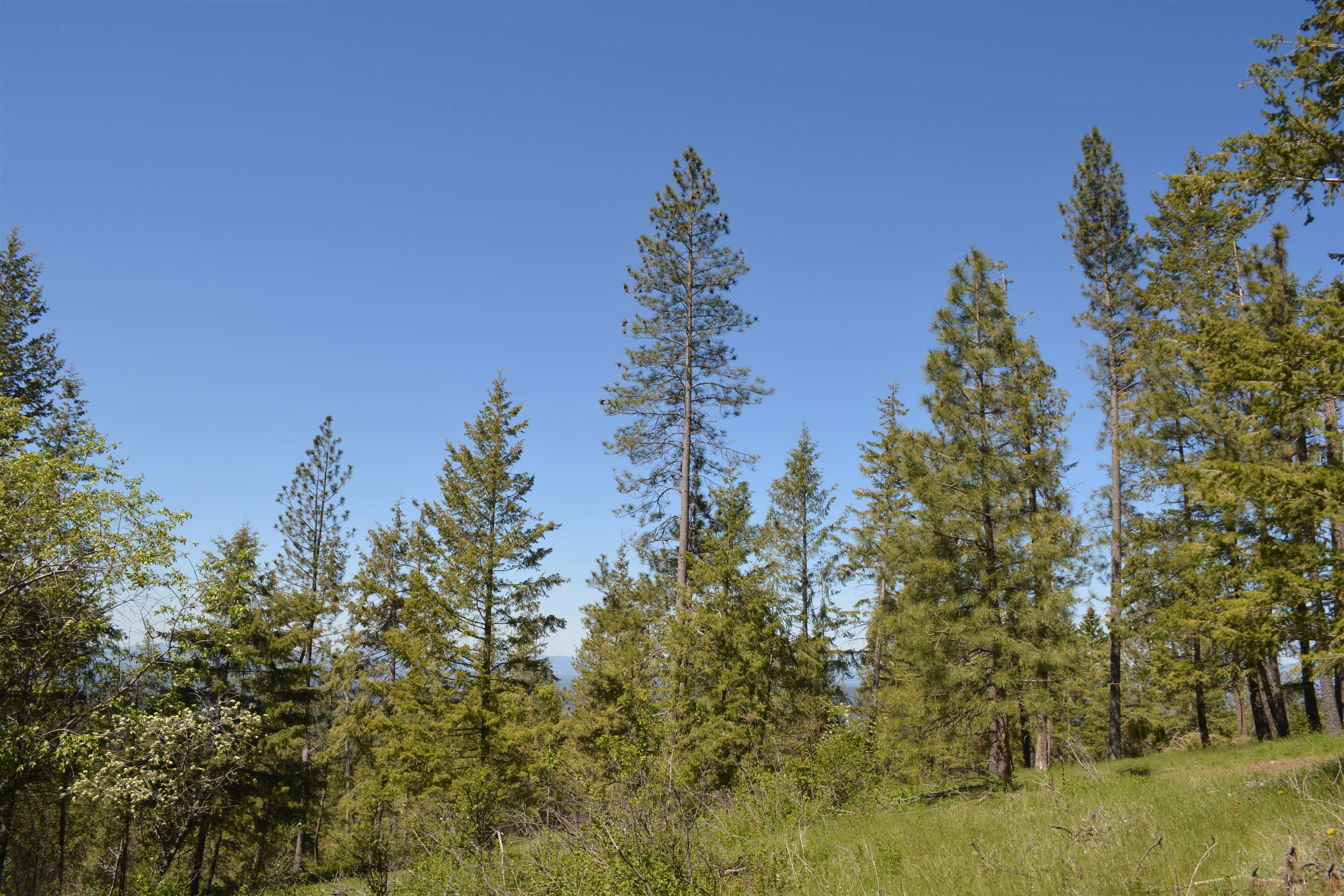 XXX E Deer Creek Rd - Photo 11