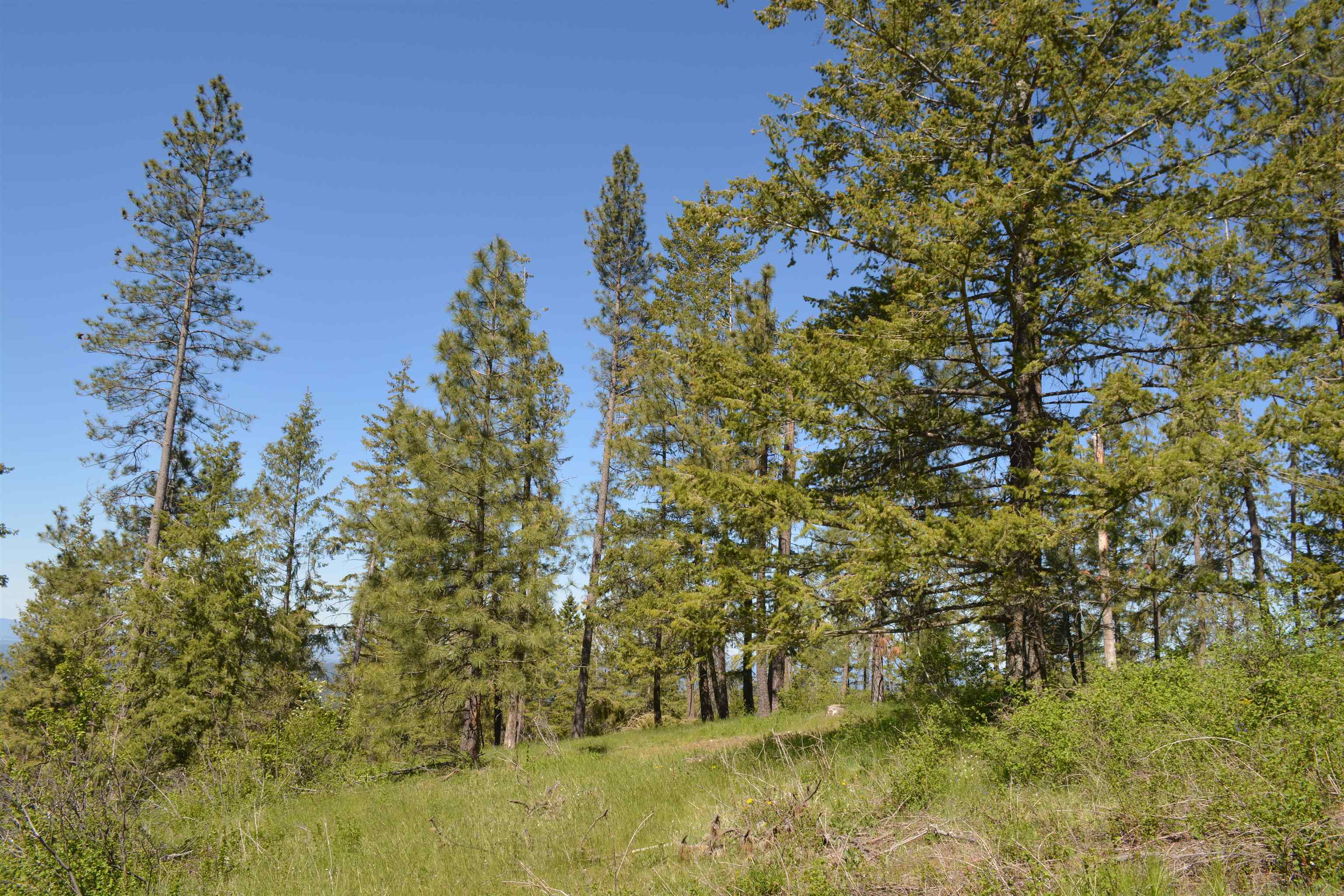 XXX E Deer Creek Rd - Photo 12