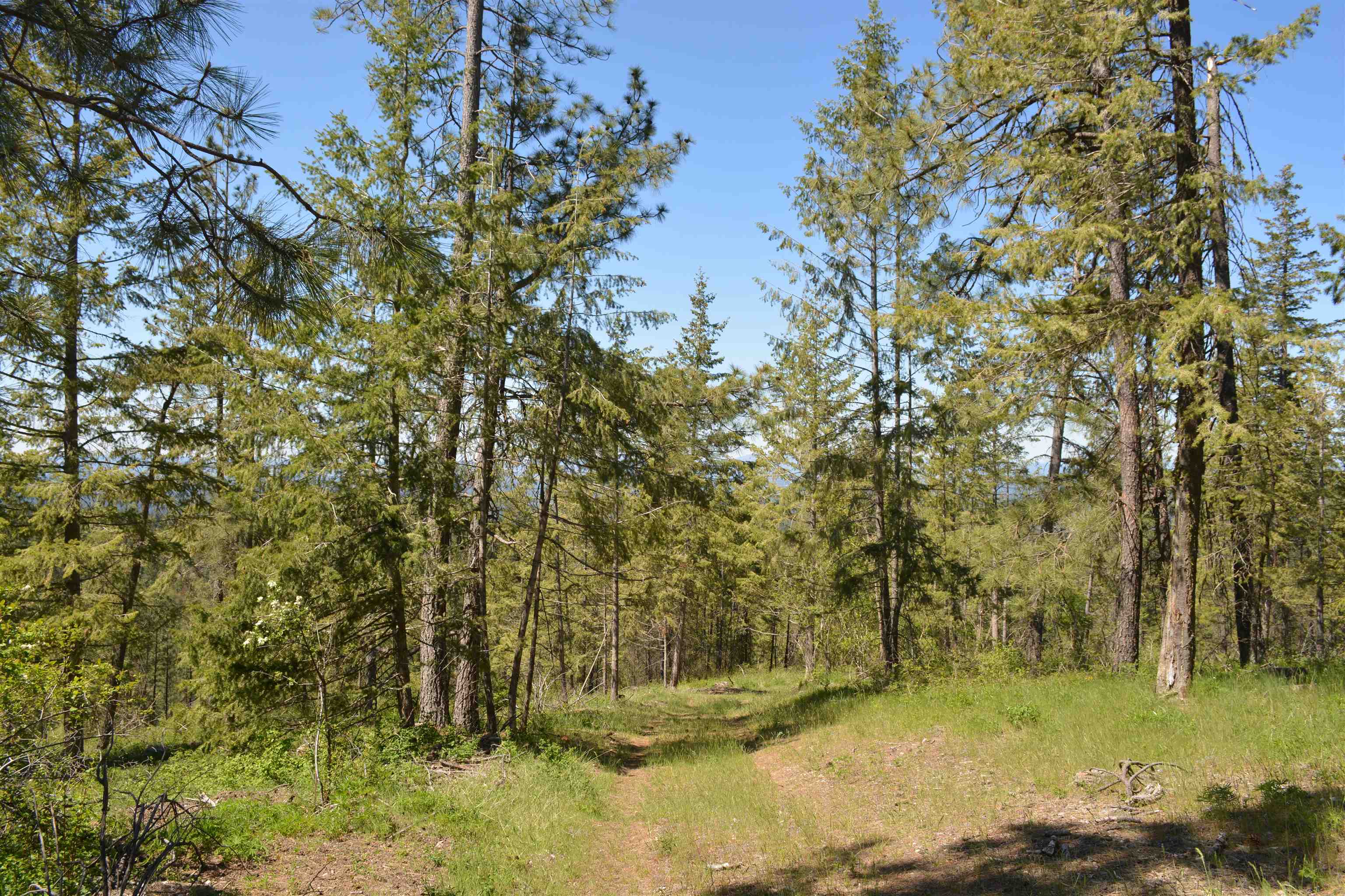 XXX E Deer Creek Rd - Photo 13