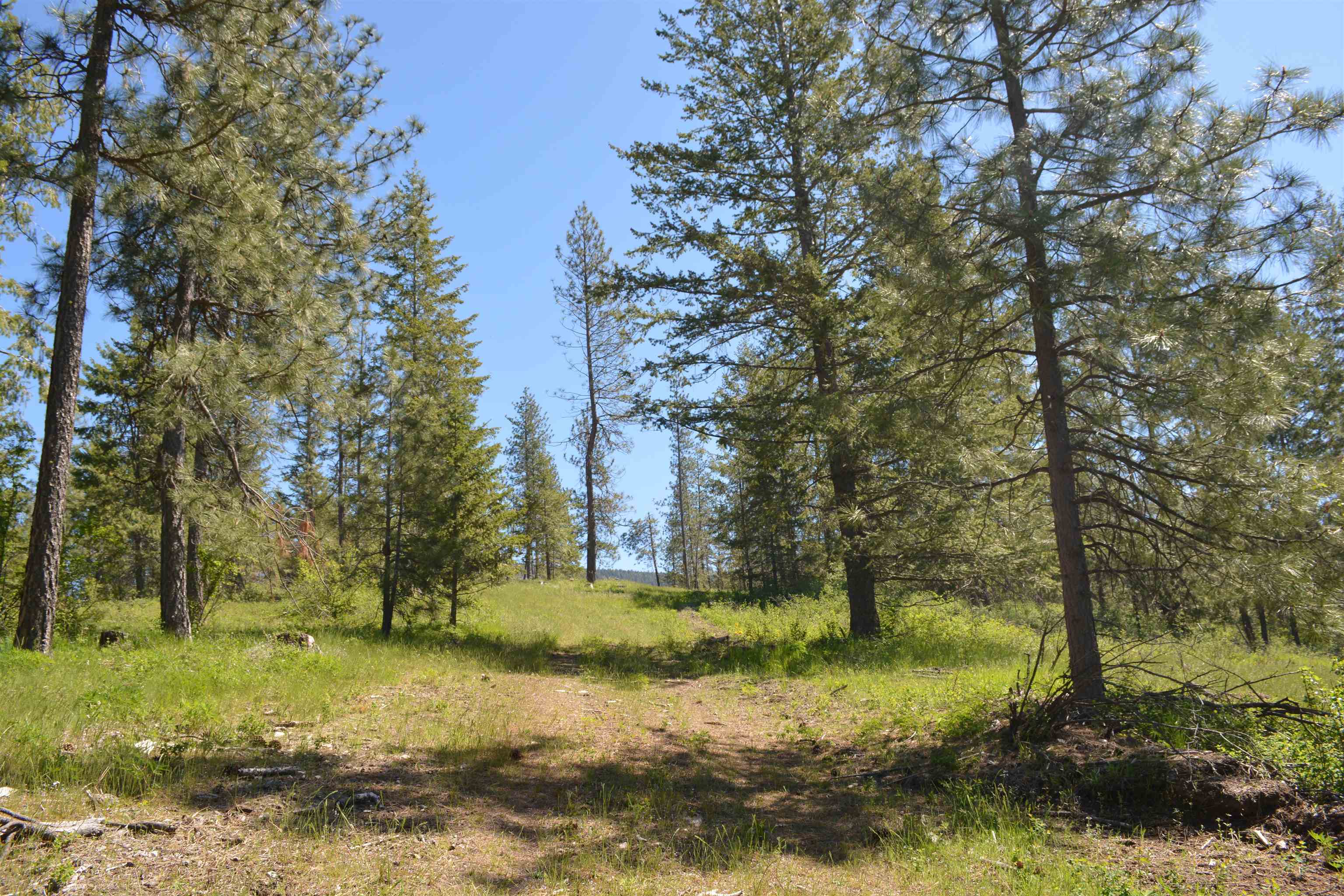 XXX E Deer Creek Rd - Photo 14