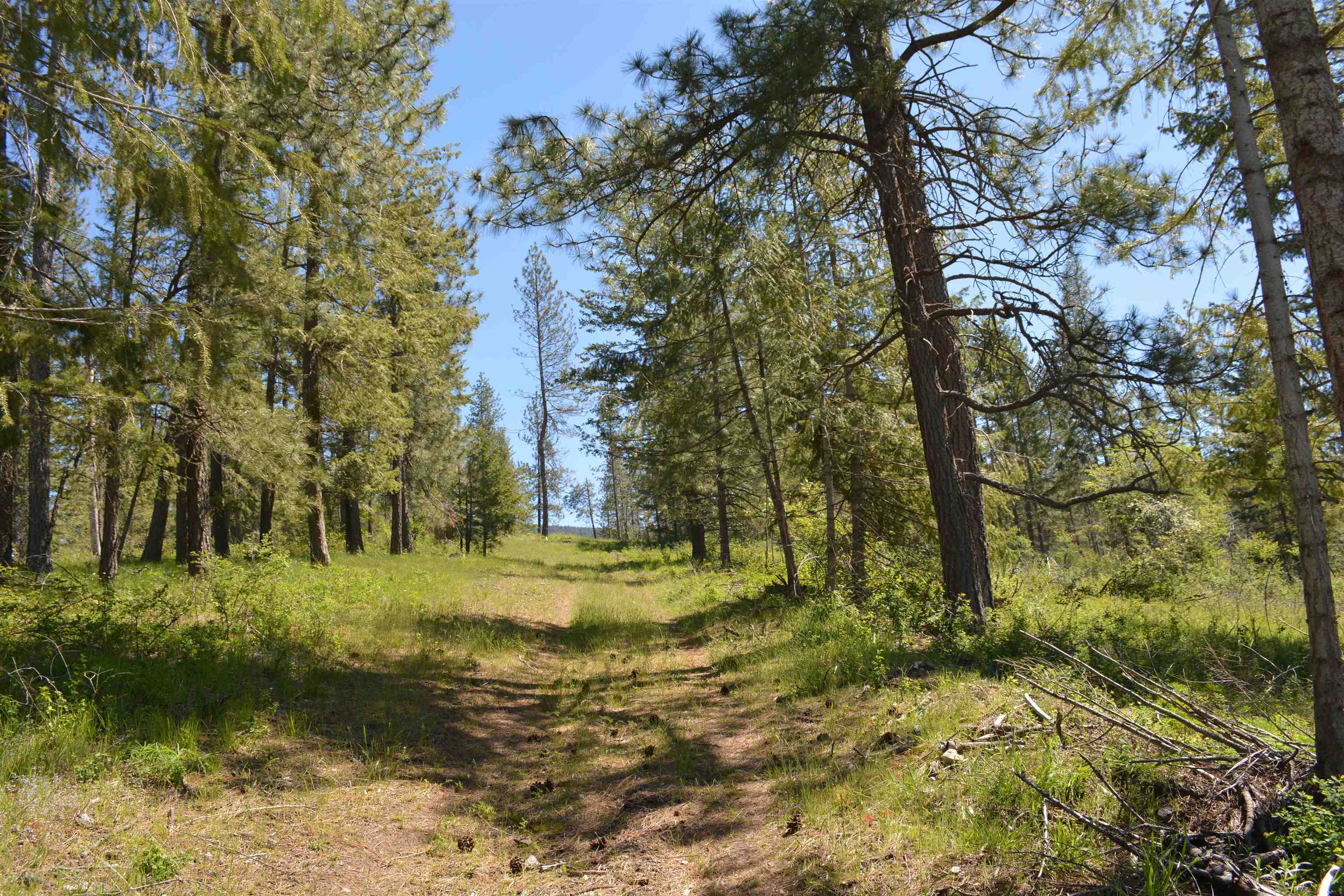XXX E Deer Creek Rd - Photo 15
