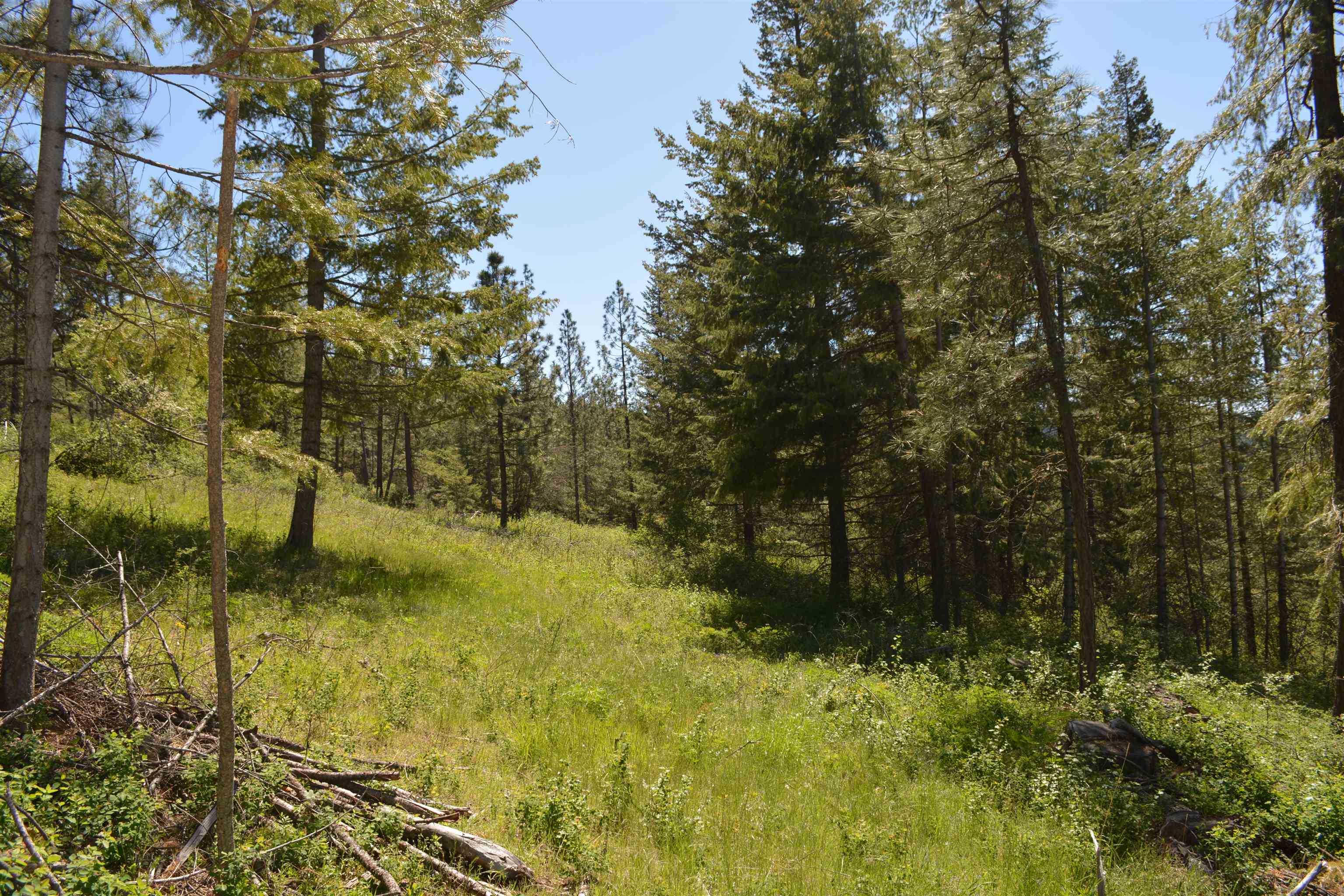 XXX E Deer Creek Rd - Photo 16
