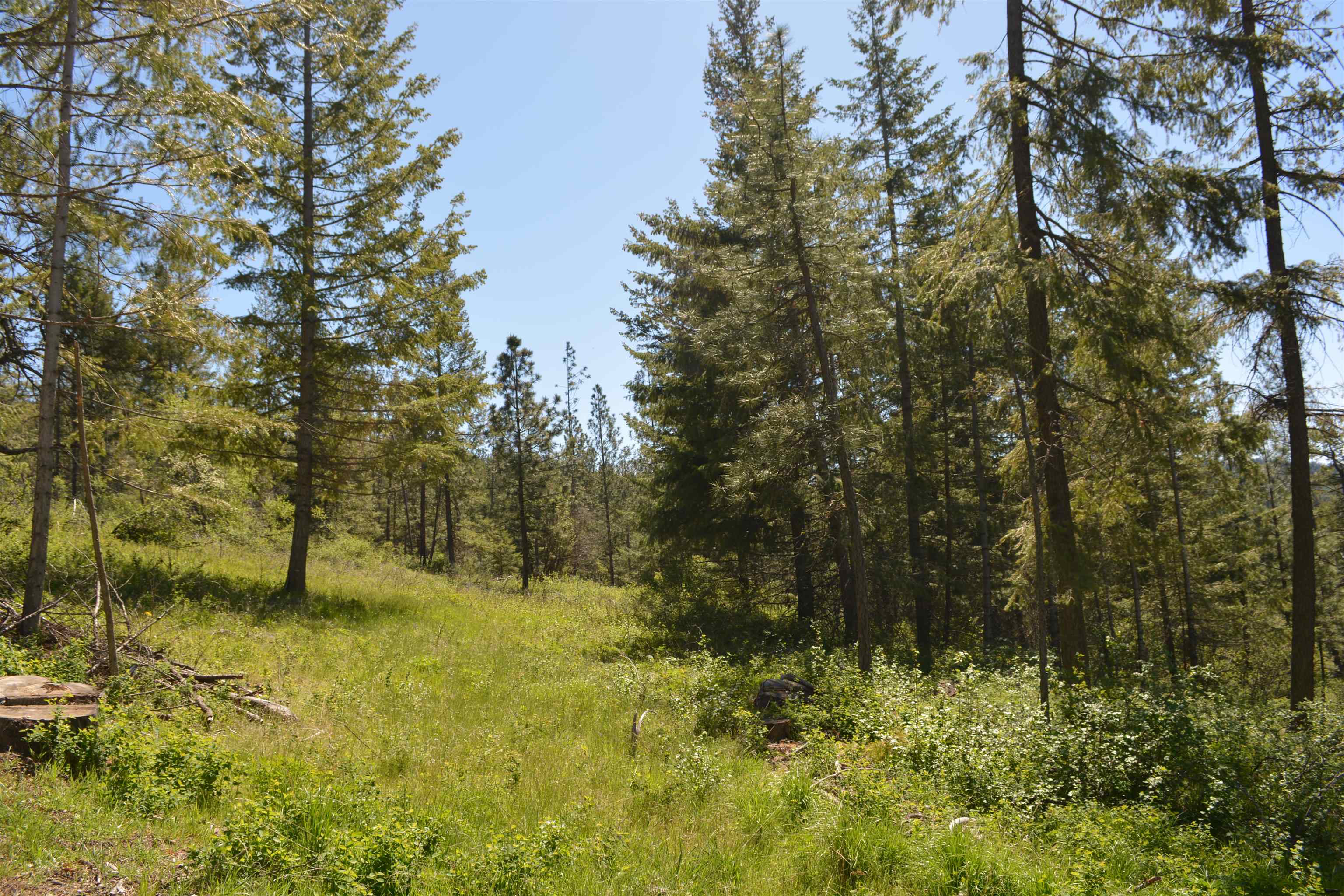 XXX E Deer Creek Rd - Photo 17