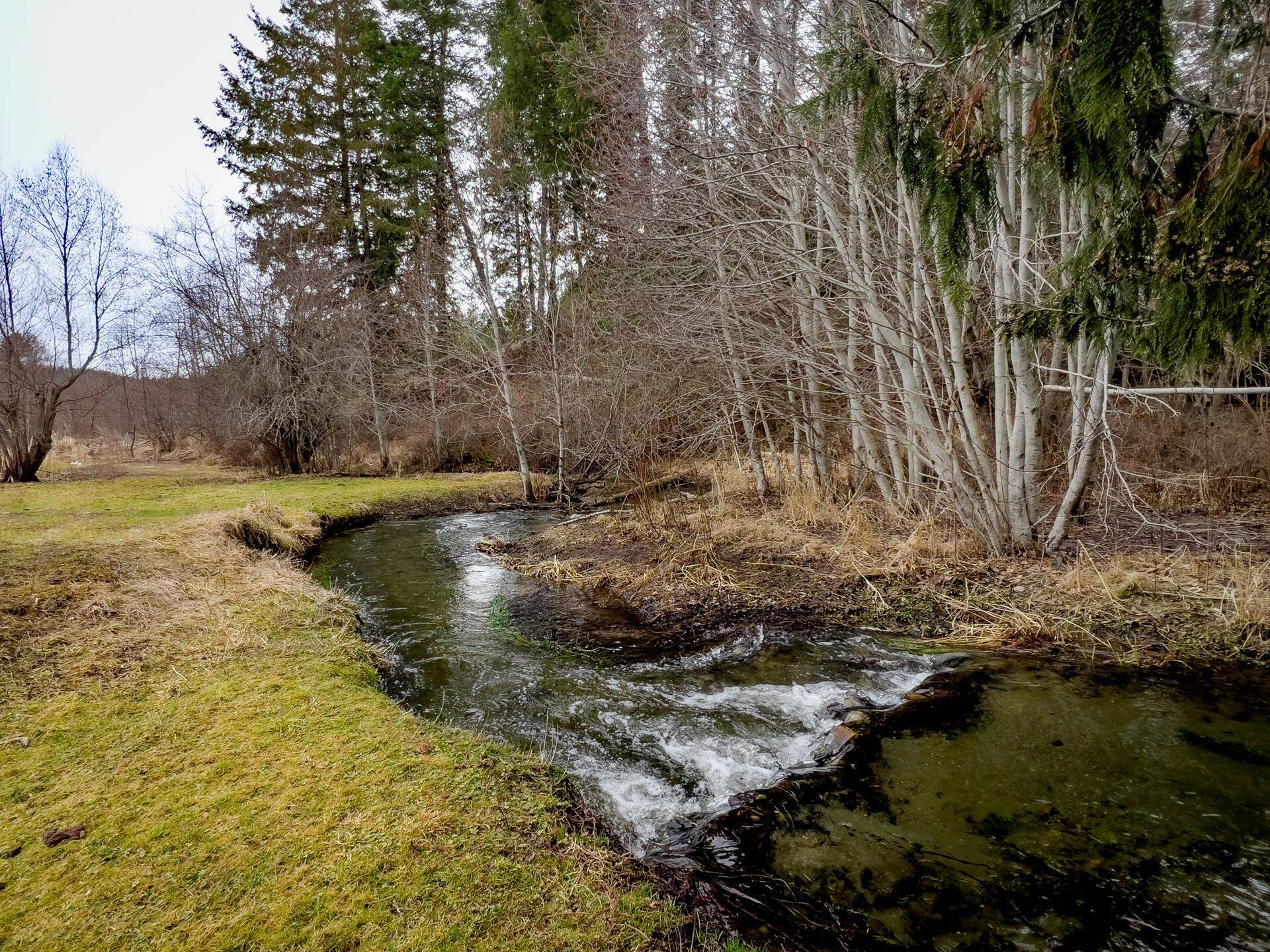 2063-A Marble Valley Basin Rd - Photo 2