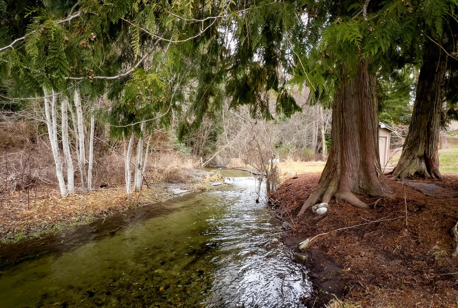2063-A Marble Valley Basin Rd - Photo 10