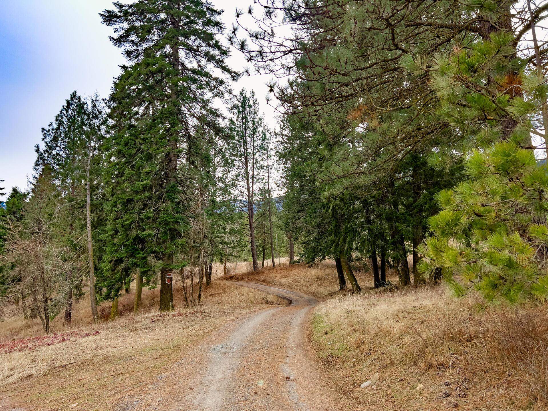 2063-A Marble Valley Basin Rd - Photo 13
