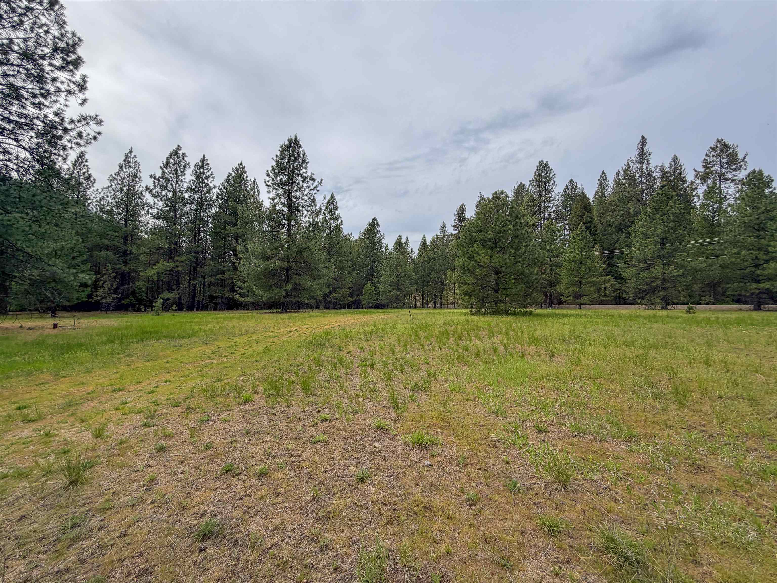 14451 N Leclerc Rd - Photo 5