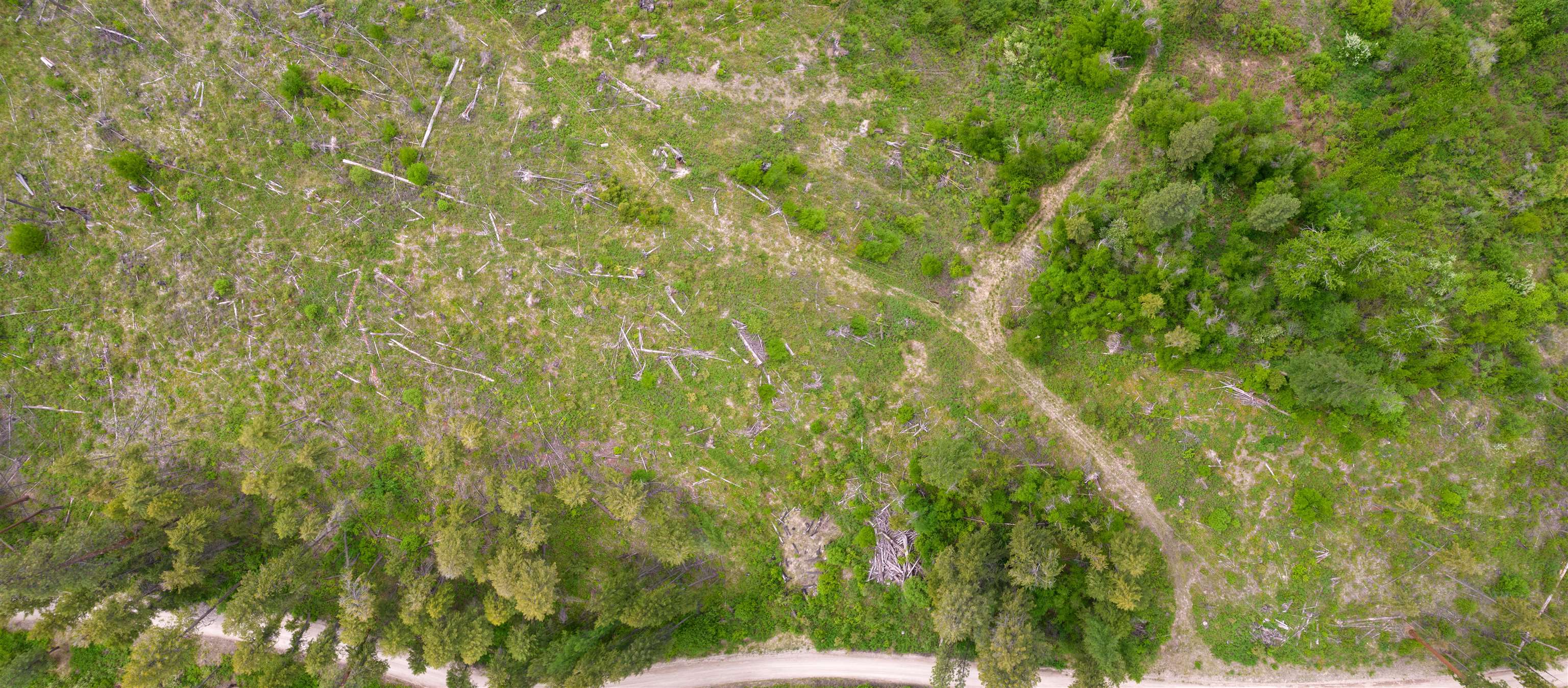XXX Off E Sanpoil Rd - Photo 4