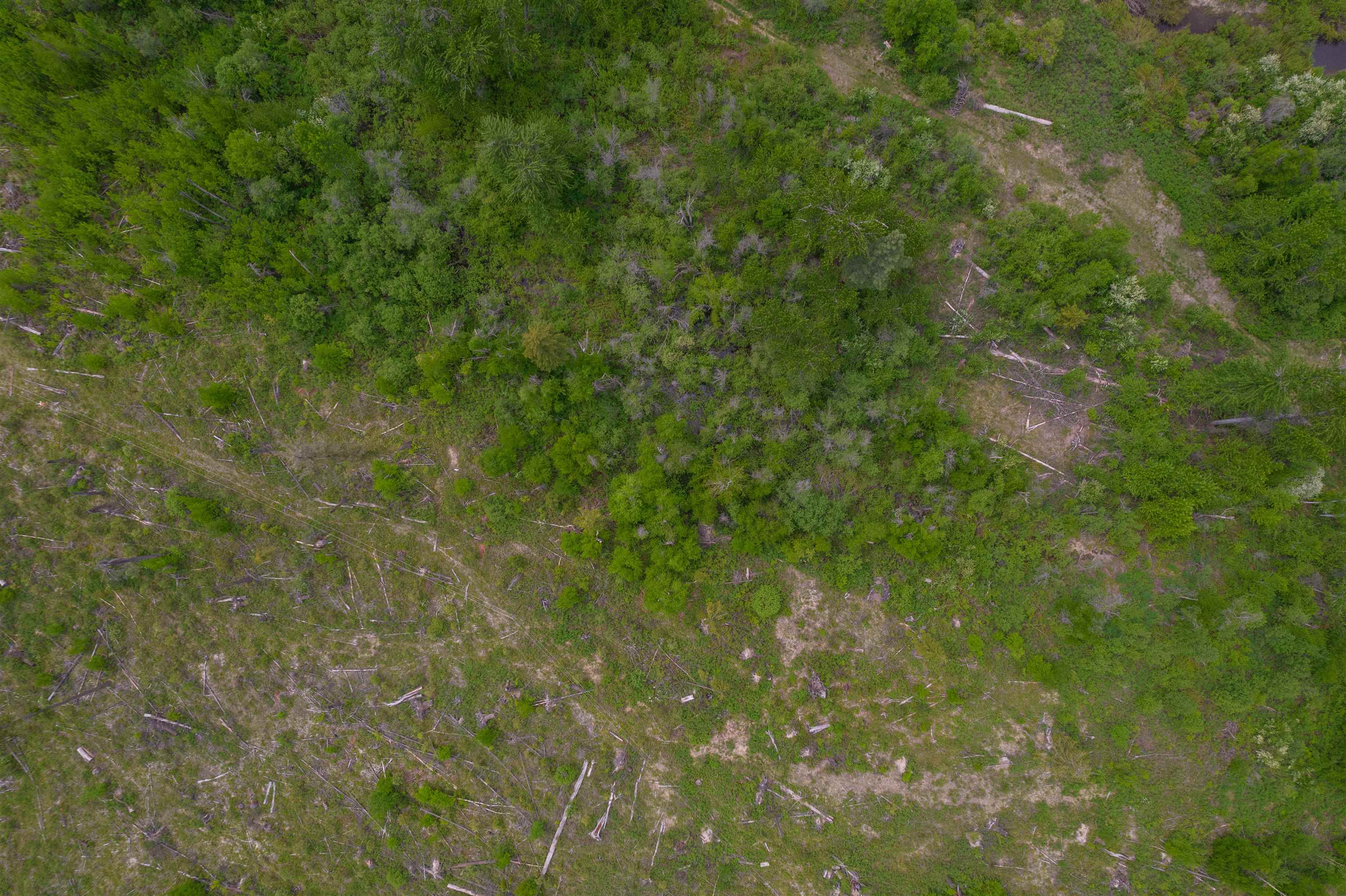 XXX Off E Sanpoil Rd - Photo 5