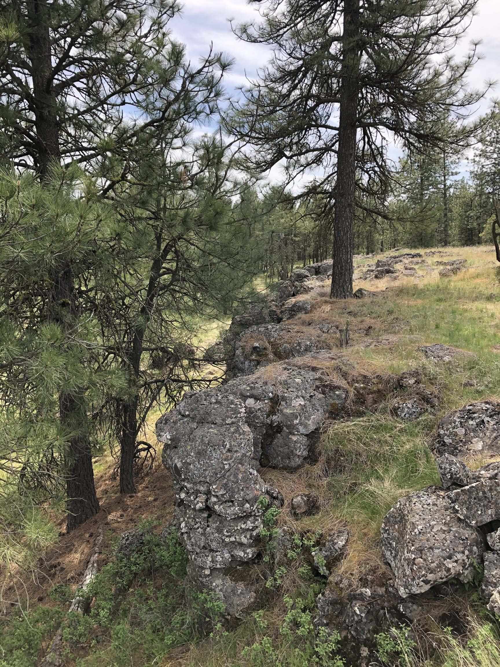 21301 S Harrison Rd - Photo 10