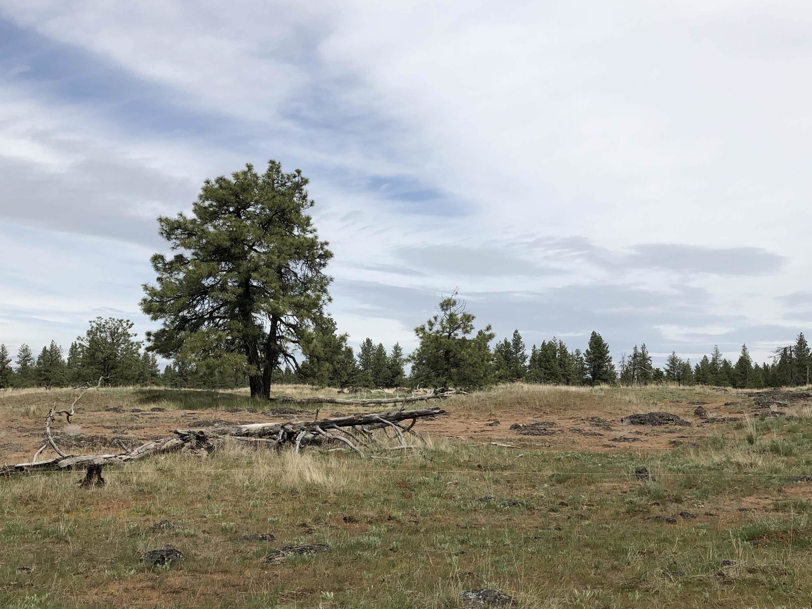 21301 S Harrison Rd - Photo 12