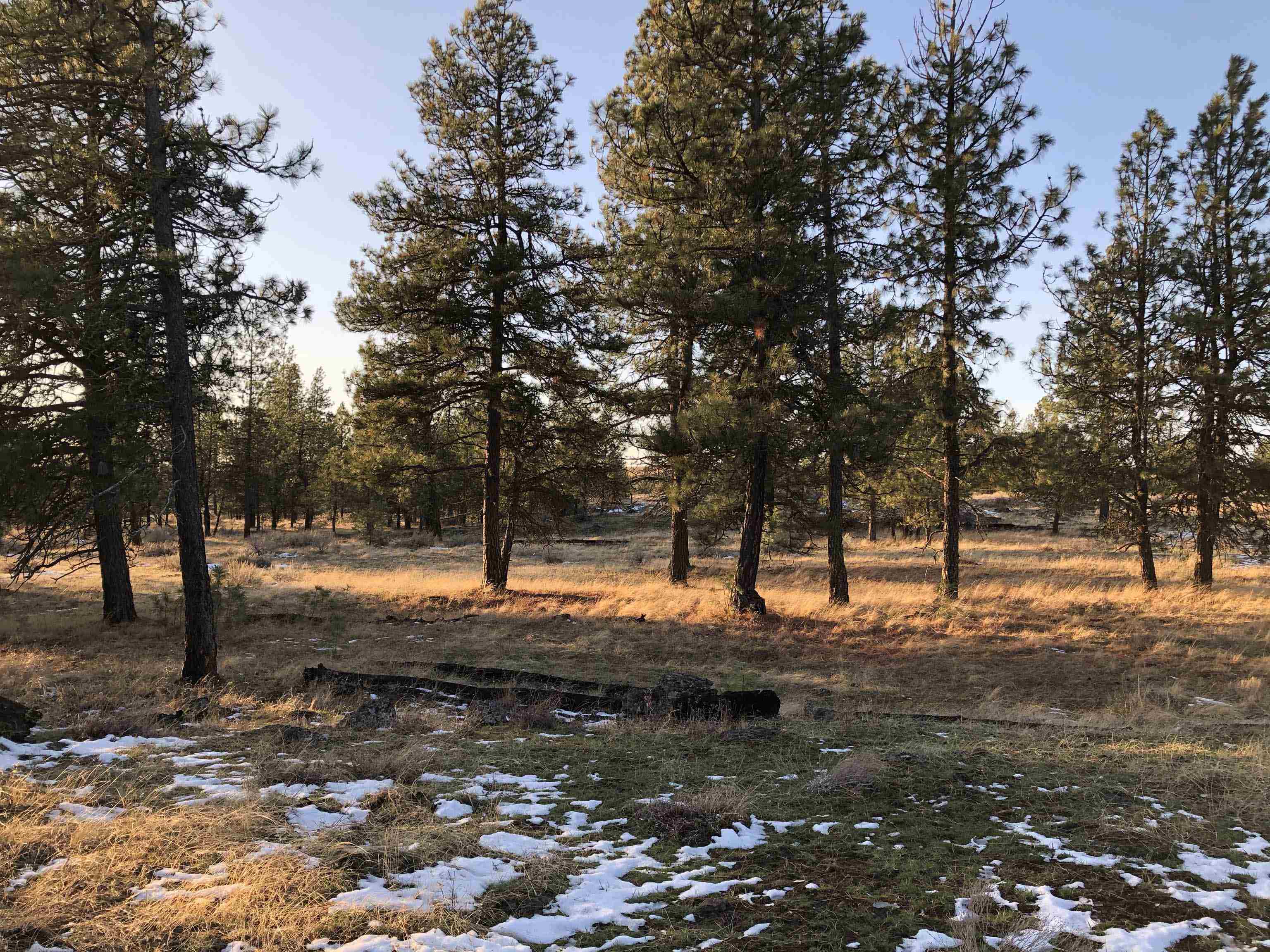 21301 S Harrison Rd - Photo 14