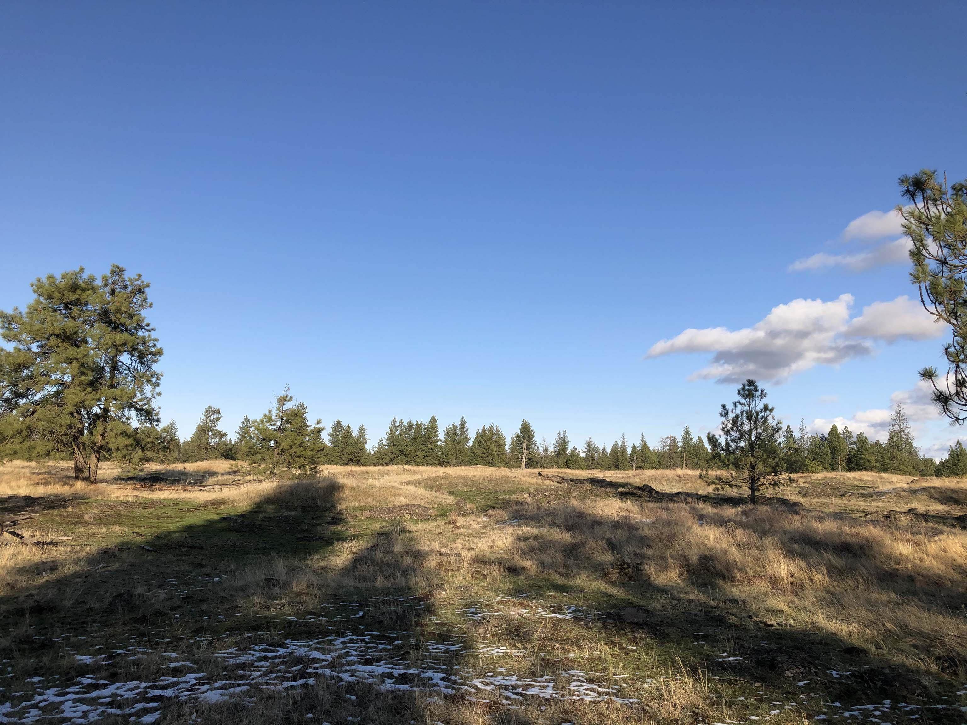 21301 S Harrison Rd - Photo 15