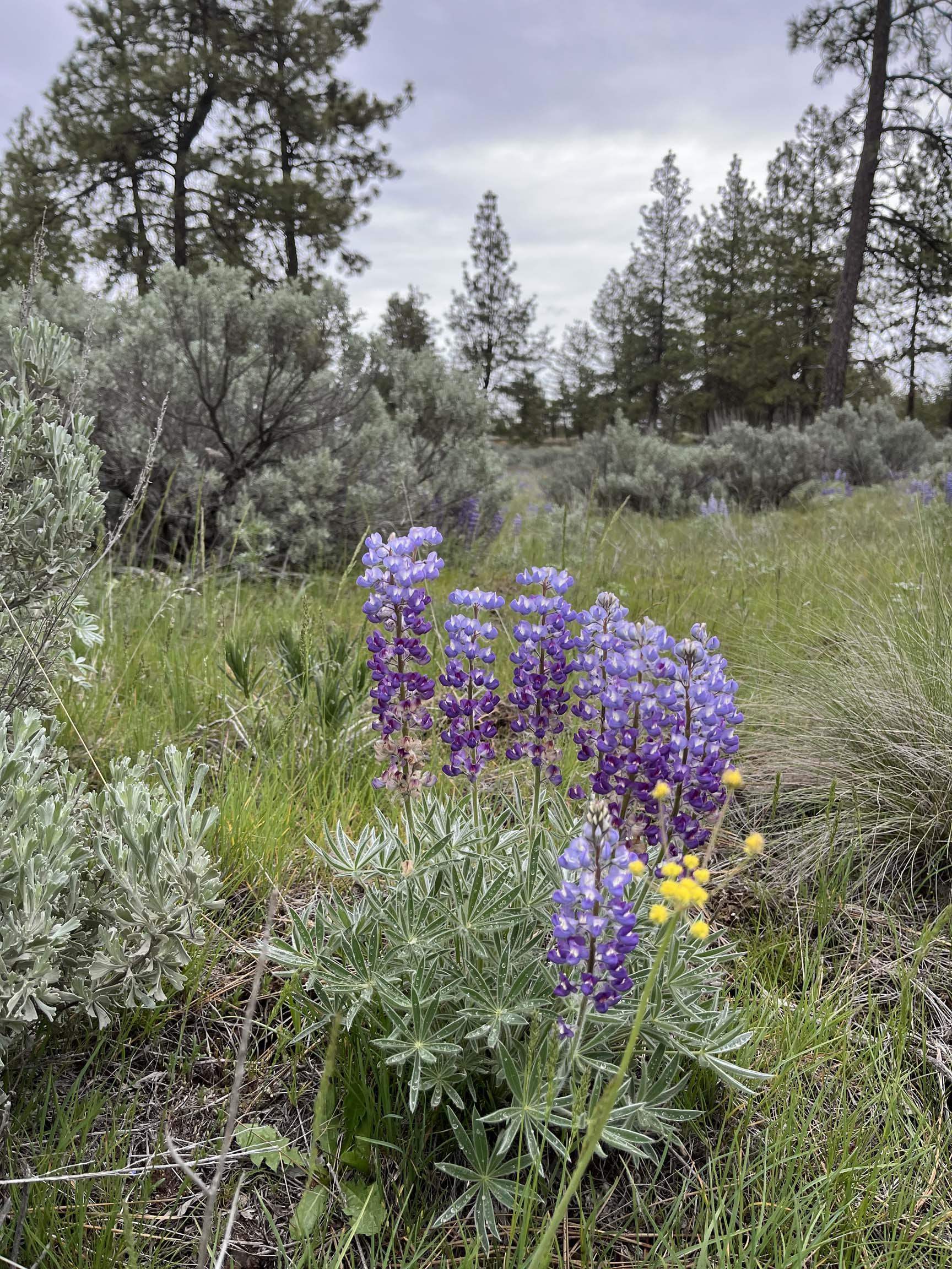 21301 S Harrison Rd - Photo 8