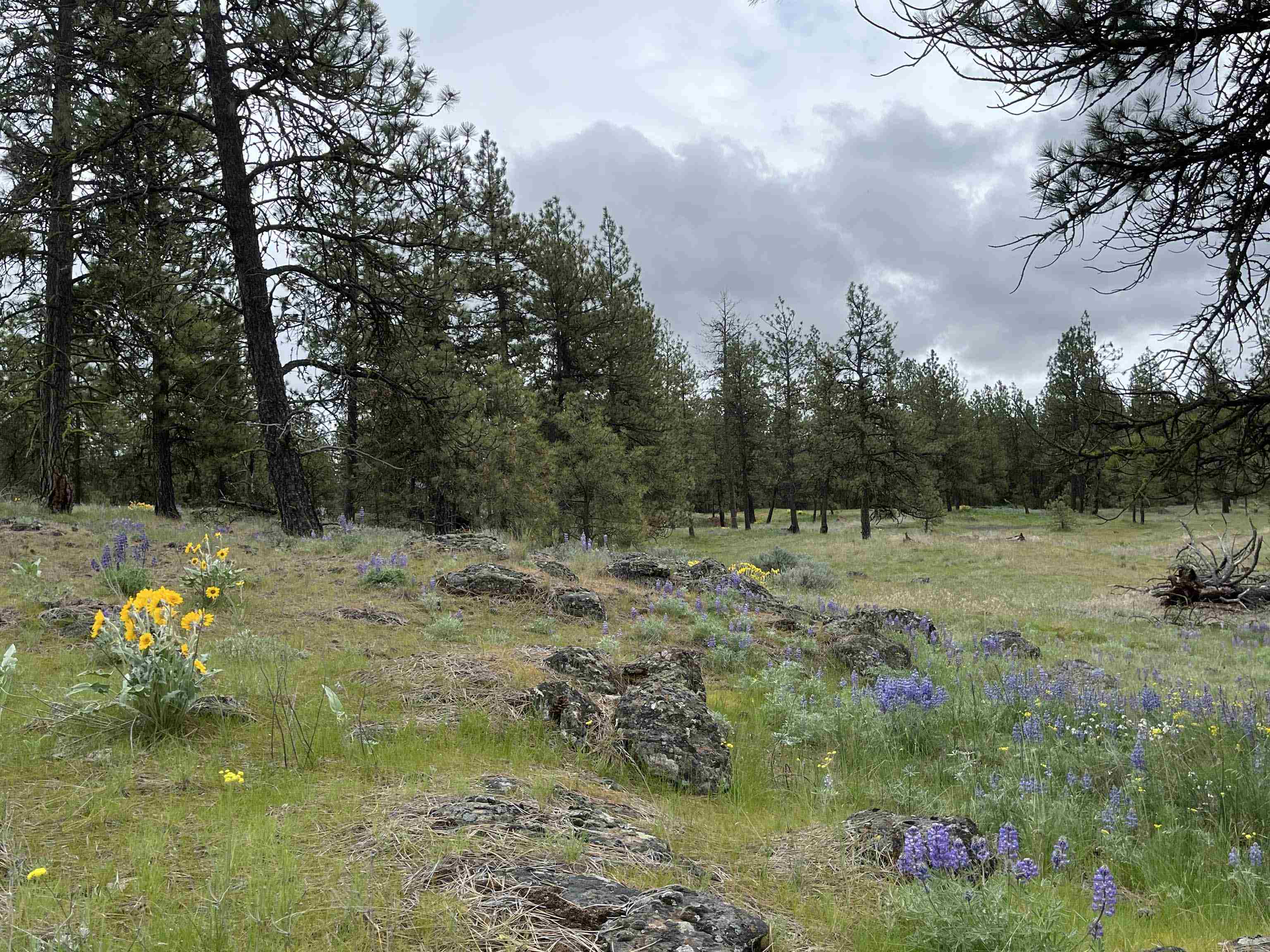 21301 S Harrison Rd - Photo 4