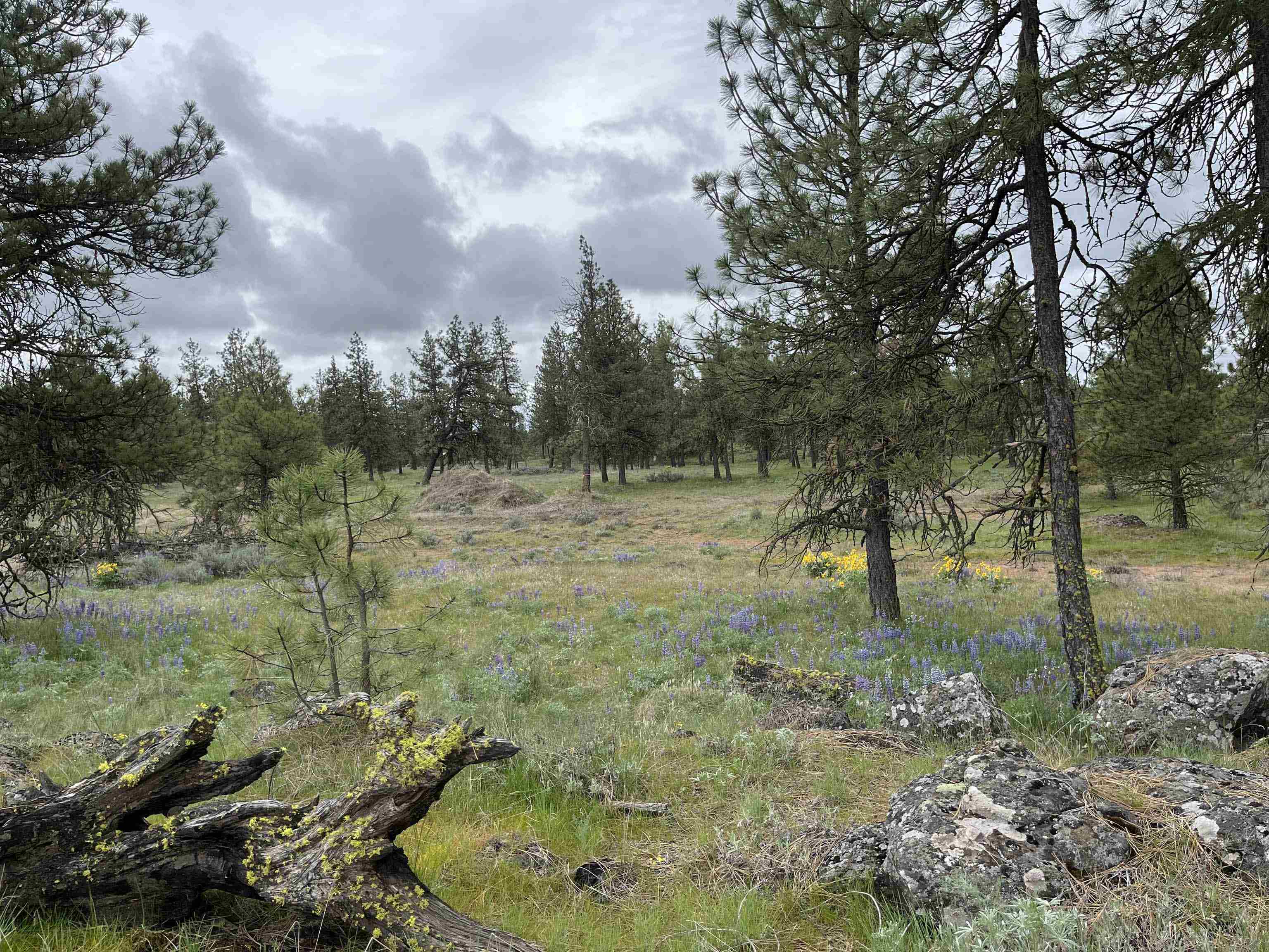 21301 S Harrison Rd - Photo 3