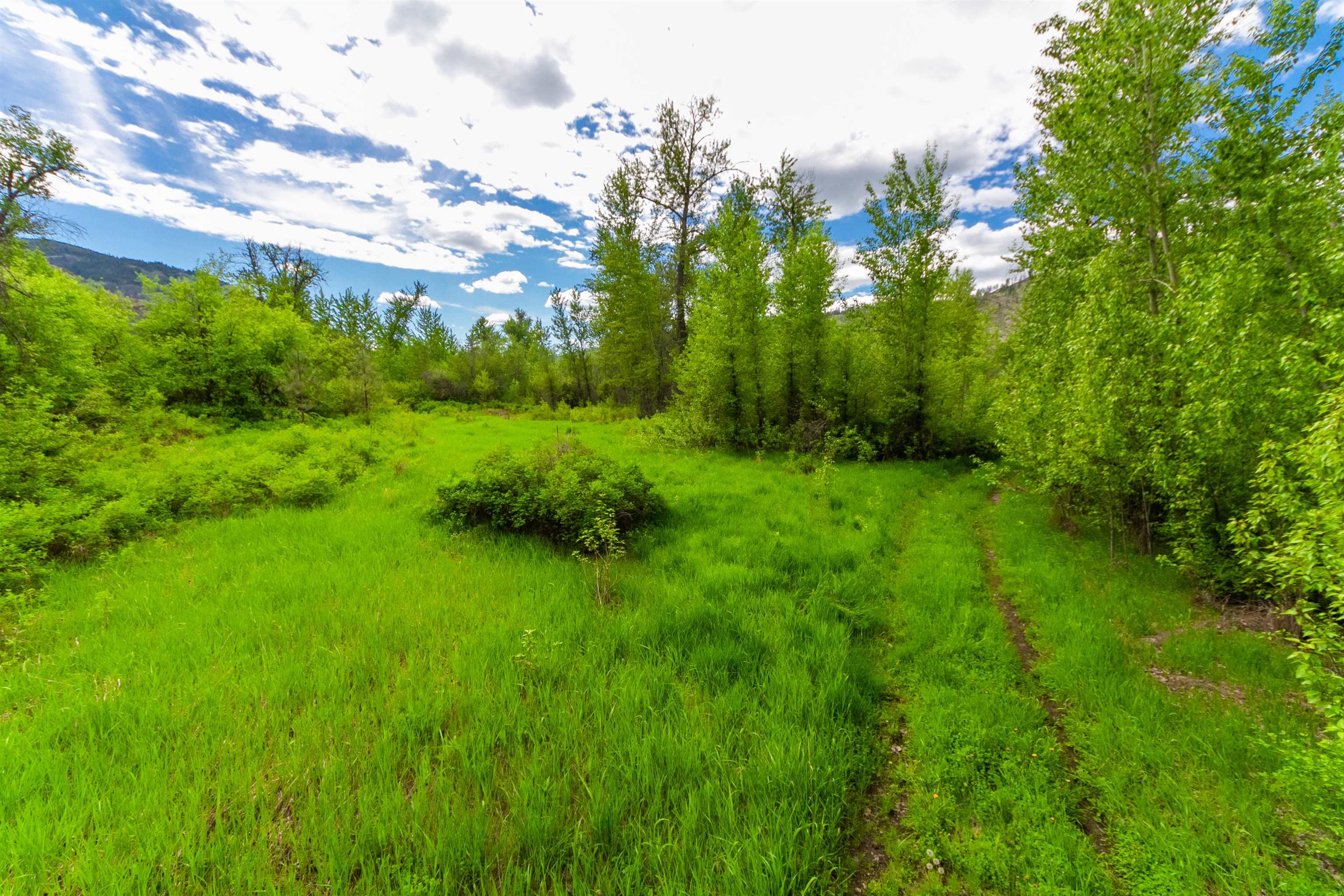 XXX Off E Sanpoil Rd - Photo 20