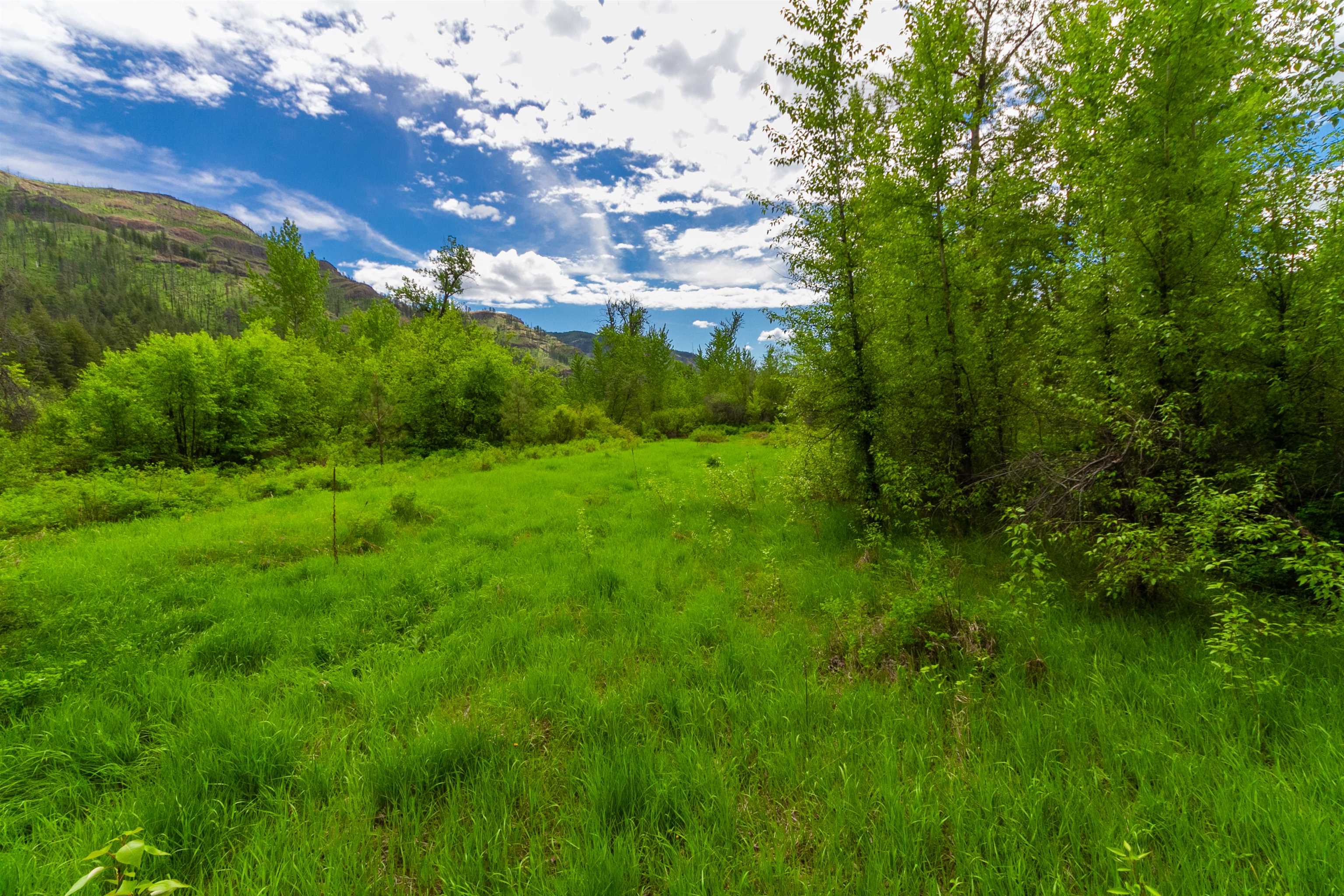 XXX Off E Sanpoil Rd - Photo 21