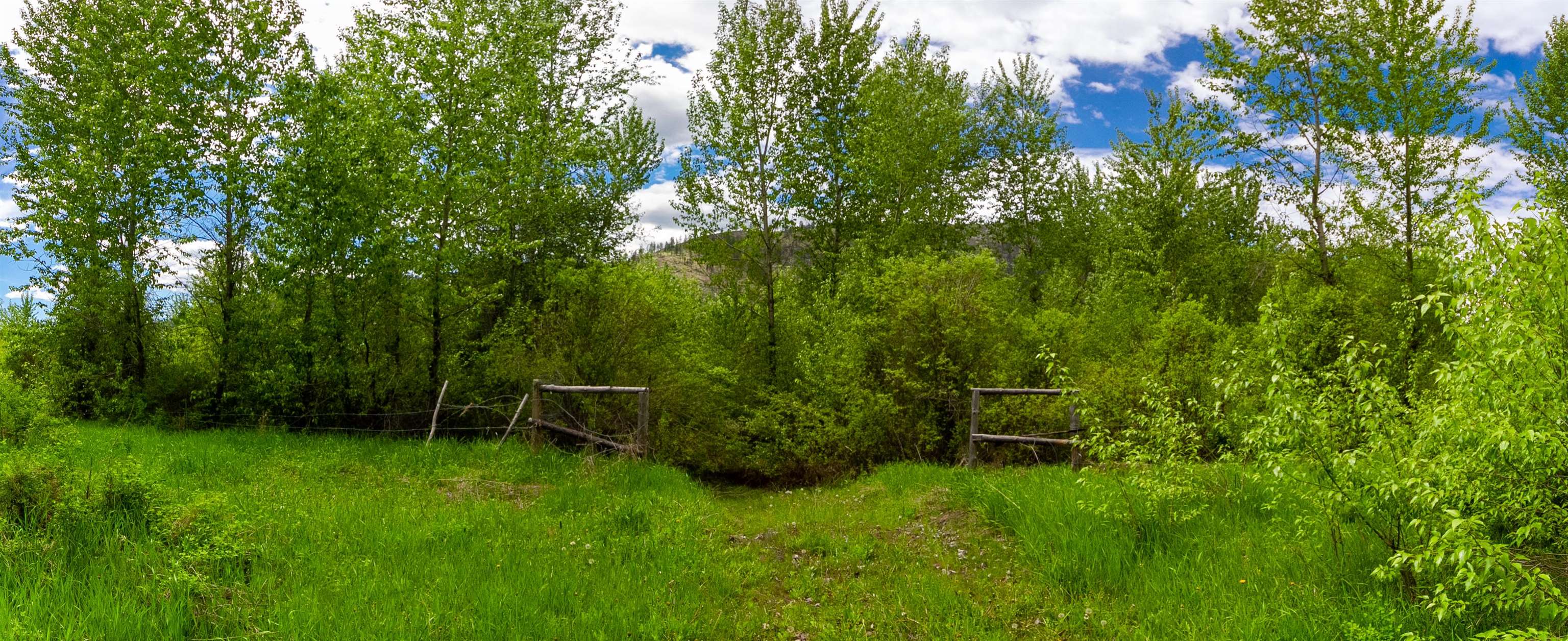 XXX Off E Sanpoil Rd - Photo 24