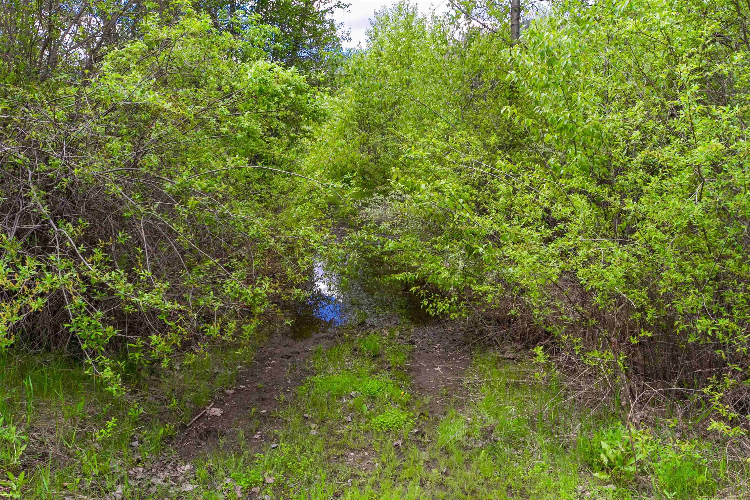 XXX Off E Sanpoil Rd - Photo 25